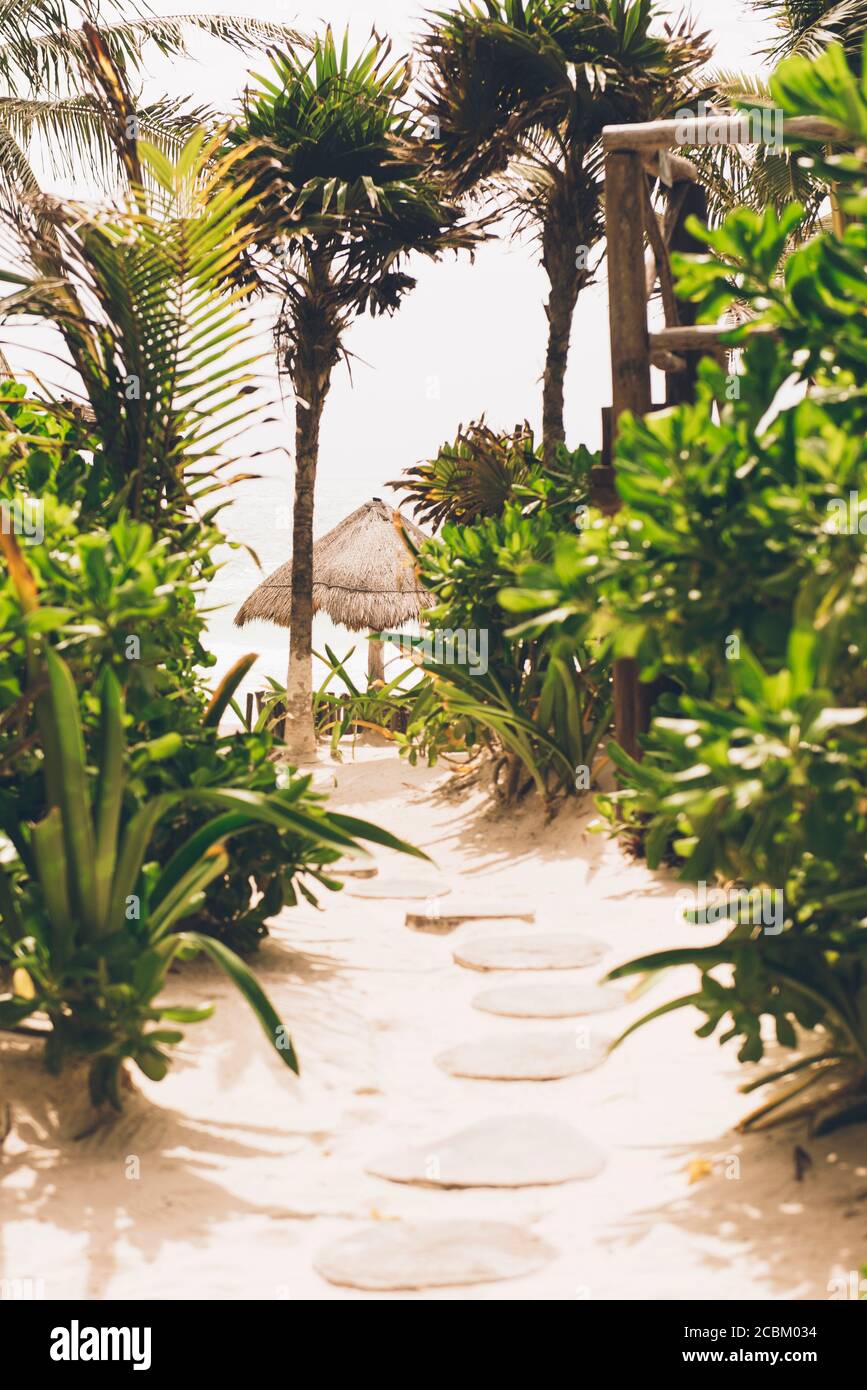 Pfad zum Strand, erhöhte Aussicht, Tulum, Mexiko Stockfoto