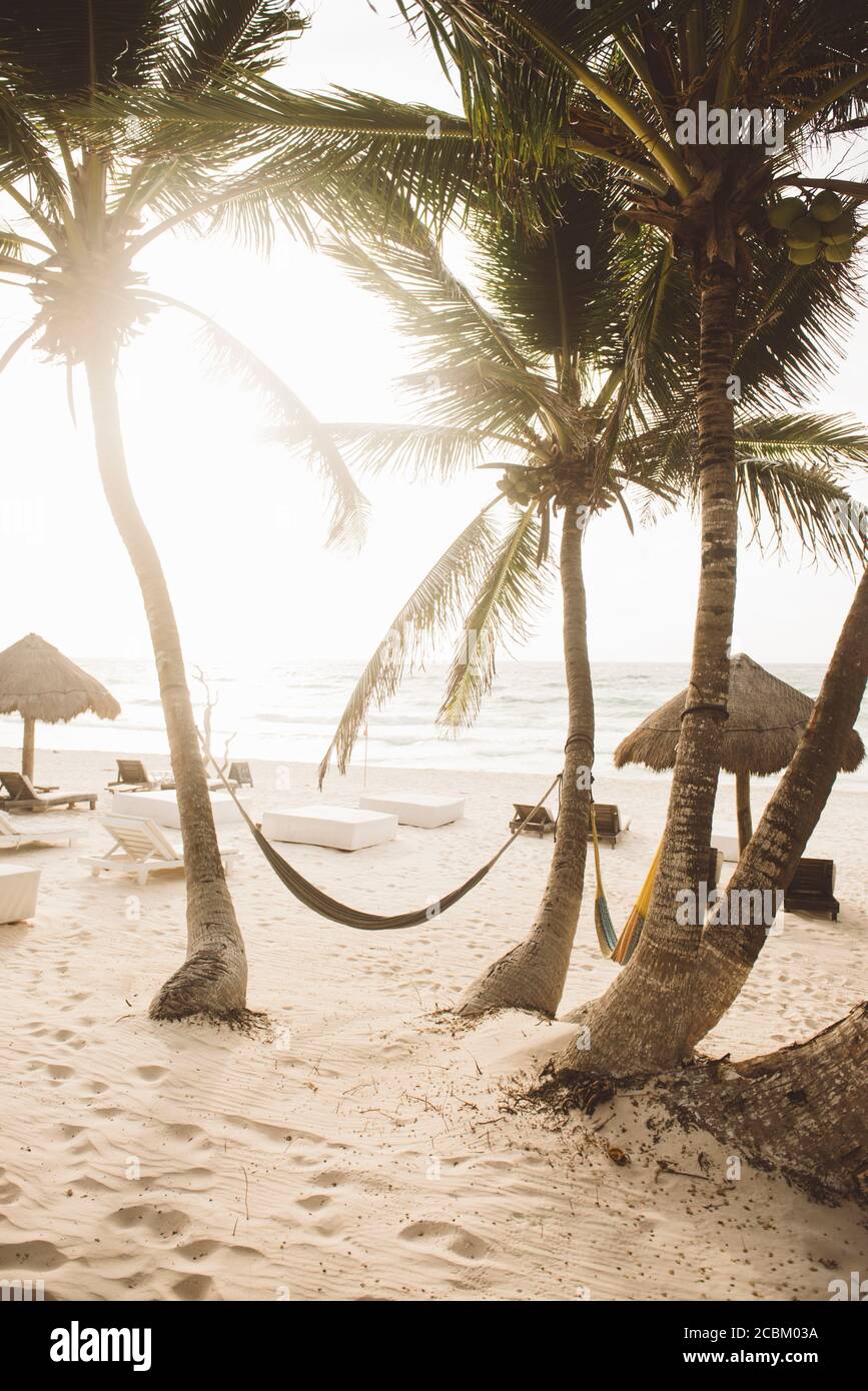 Hängematte zwischen zwei Palmen am Strand, Tulum, Mexiko Stockfoto