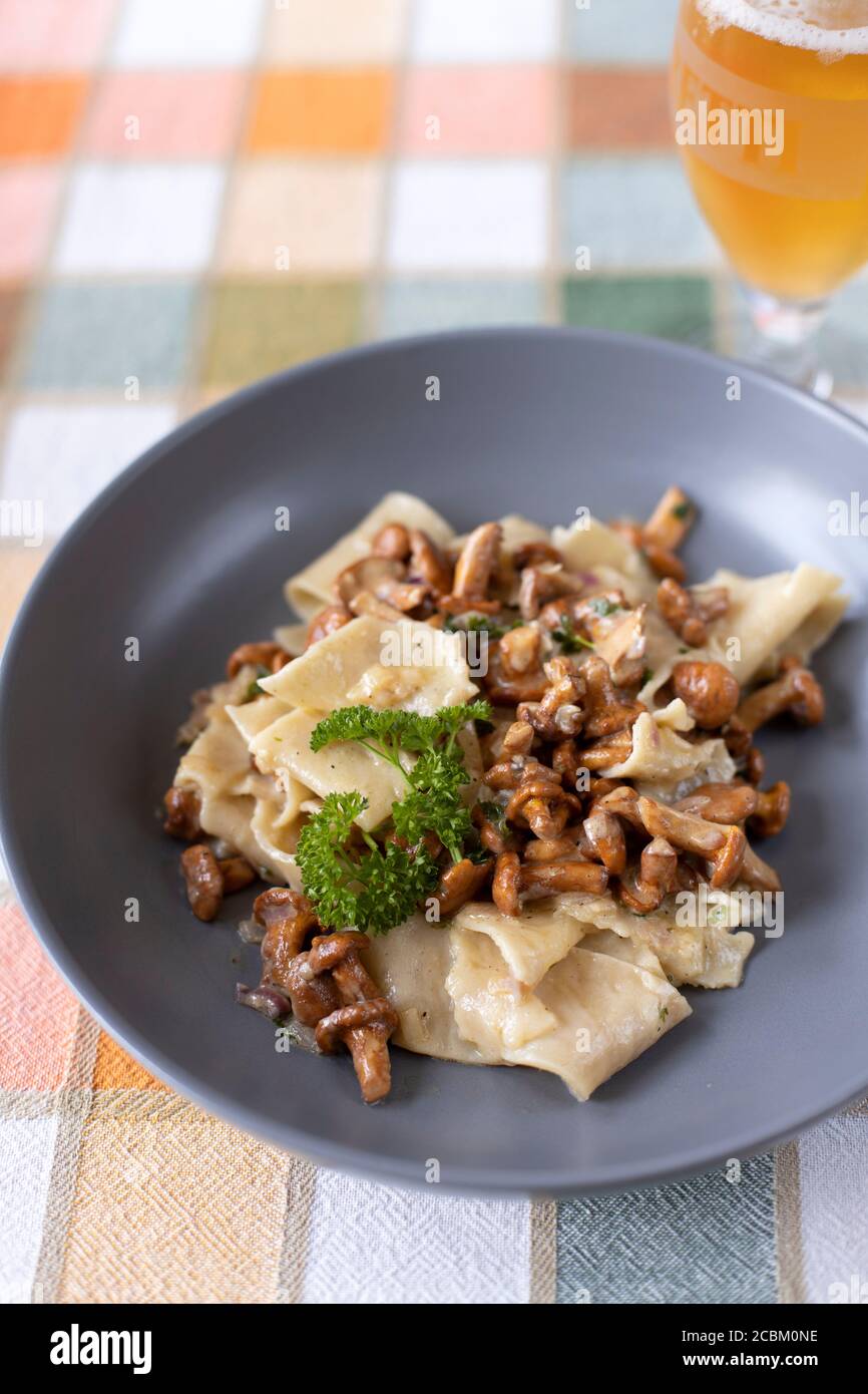 Pappardelle Pasta mit wilden gezüchtet Pfifferlinge Pilze in einer cremigen Weißweinsauce in einer grauen Schüssel auf einem Tisch Stoff Stockfoto