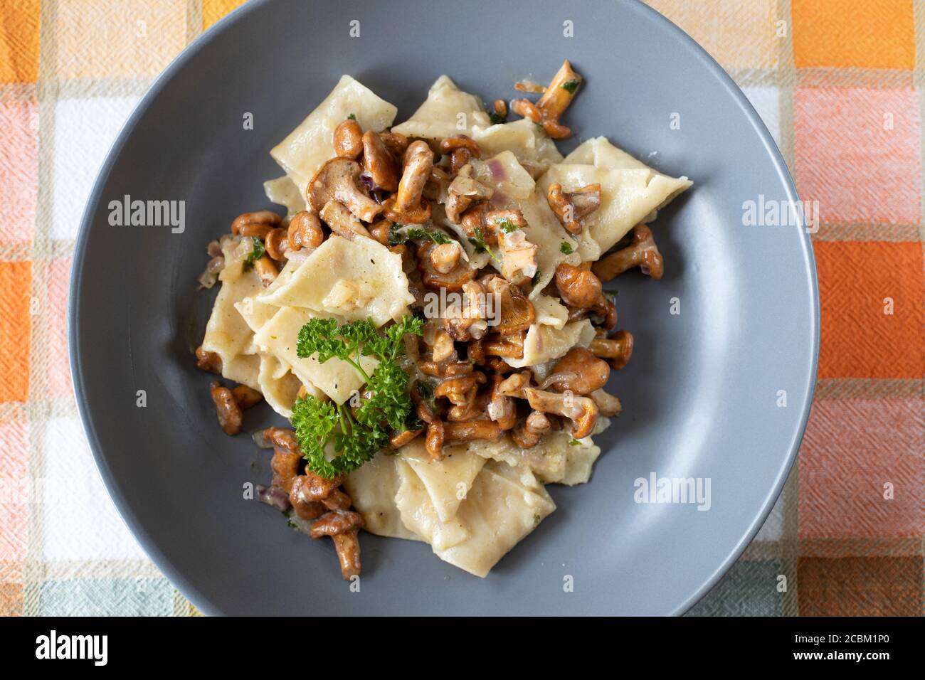 Pappardelle Pasta mit wilden gezüchtet Pfifferlinge Pilze in einer cremigen Weißweinsauce in einer grauen Schüssel auf einem Tisch Stoff Stockfoto