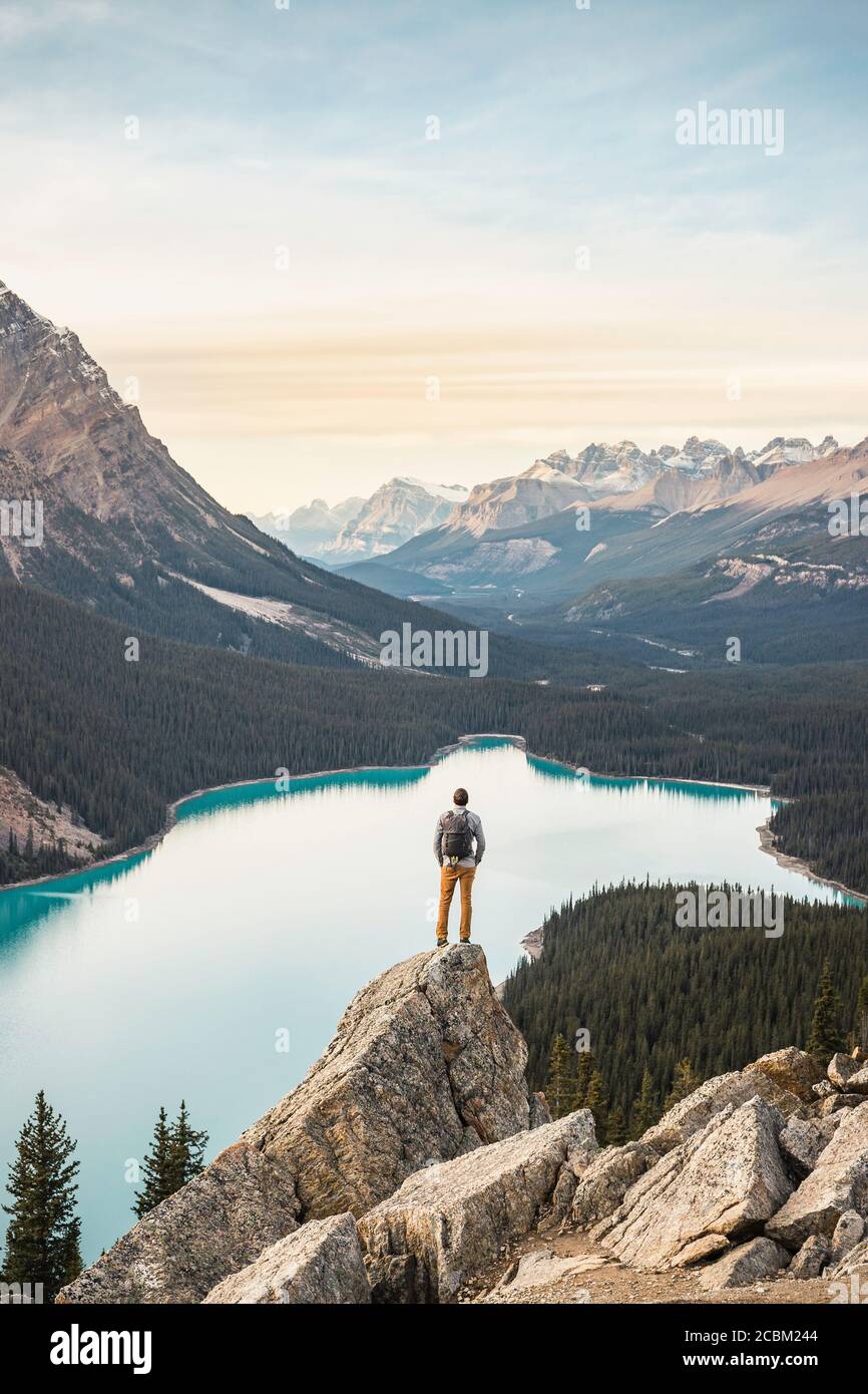Mann stehend, Blick auf Aussicht, Aussichtspunkt mit Blick auf Peyto Lake, Lake Louise, Alberta, Kanada Stockfoto