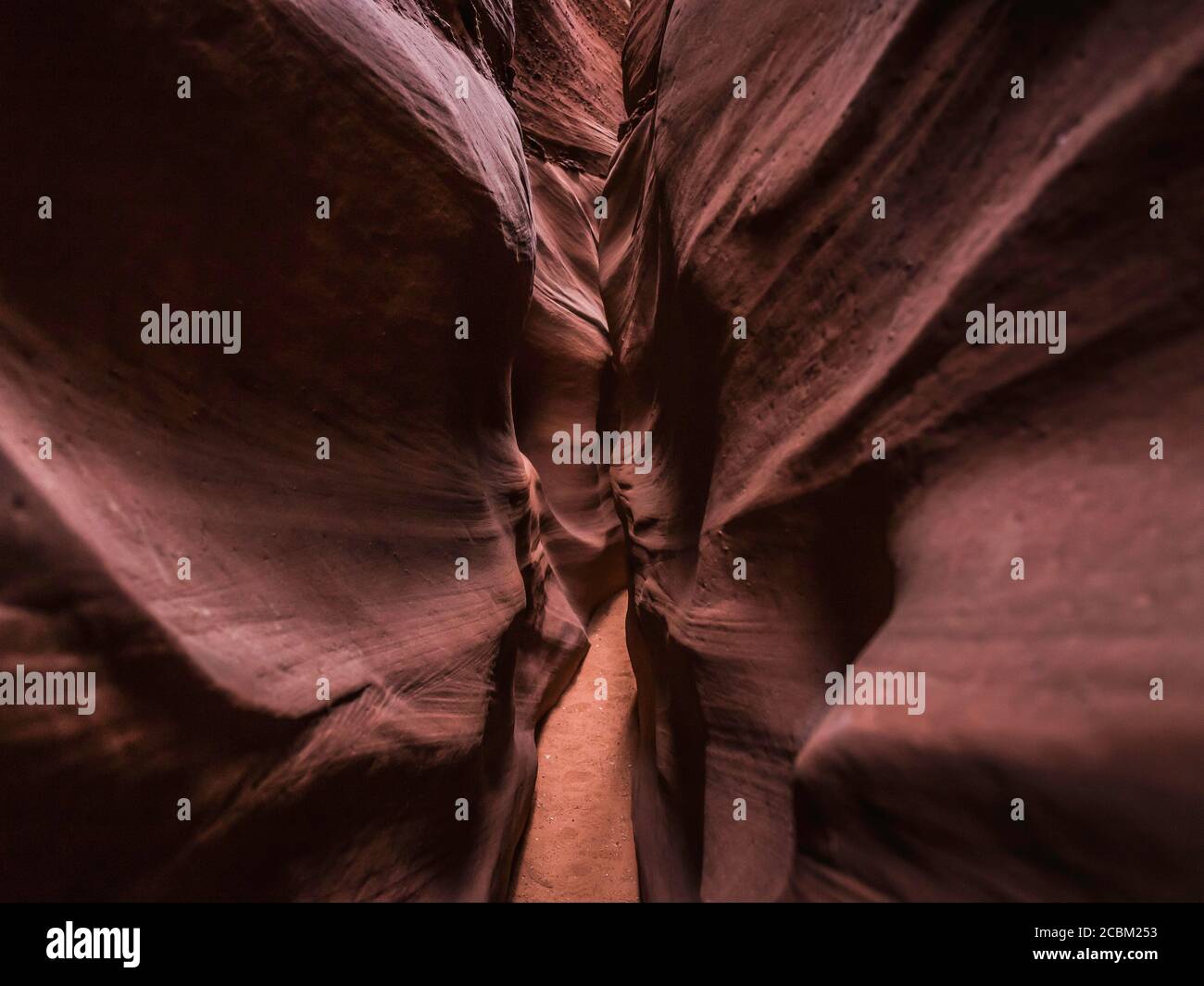 Slot Canyon Grand Staircase-Escalante National Monument, Utah, USA Stockfoto