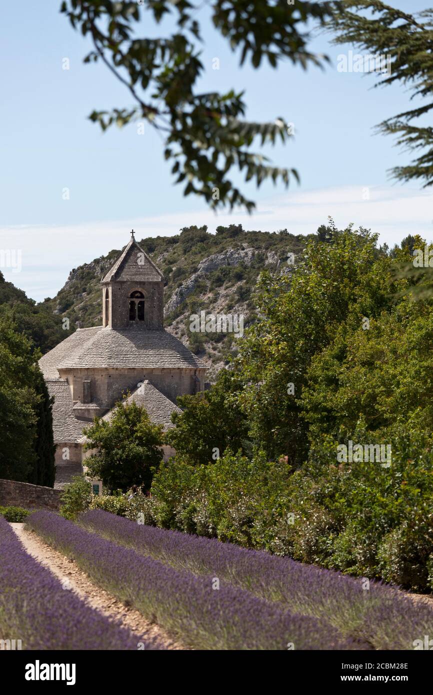Abtei Senanque, Gordes, Provence Alpes Cote dAzur, Frankreich, Europa Stockfoto
