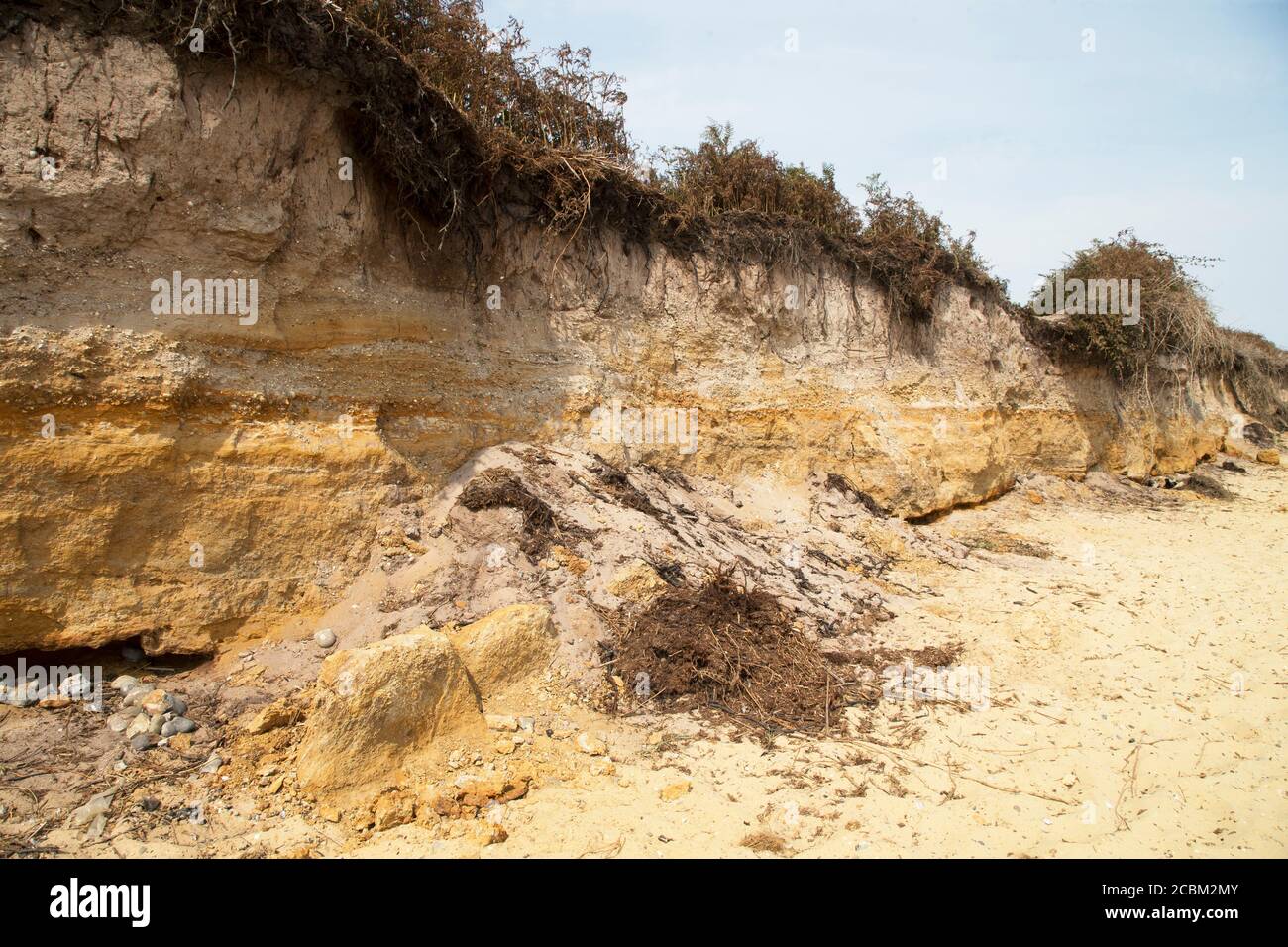 Der Strand von Covehithe in Suffolk, wo sich die Klippe befindet Erosion Stockfoto