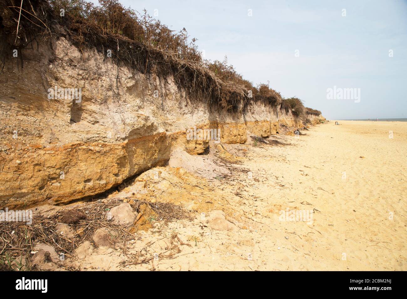 Der Strand von Covehithe in Suffolk, wo sich die Klippe befindet Erosion Stockfoto