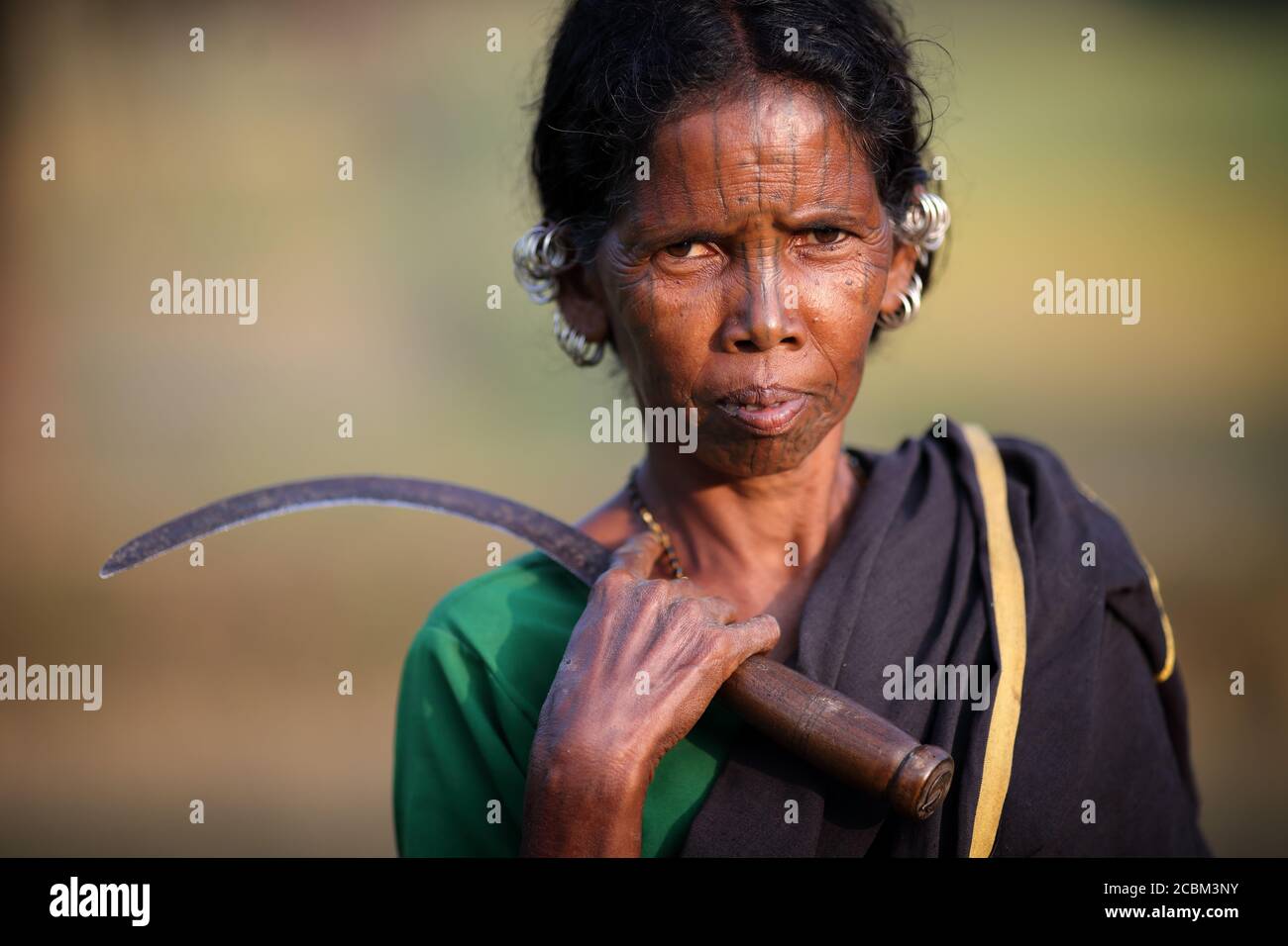 Desia Kondh Stammesfrau in einem ländlichen Dorf in der Nähe von Gunupur in Odisha, Indien Stockfoto