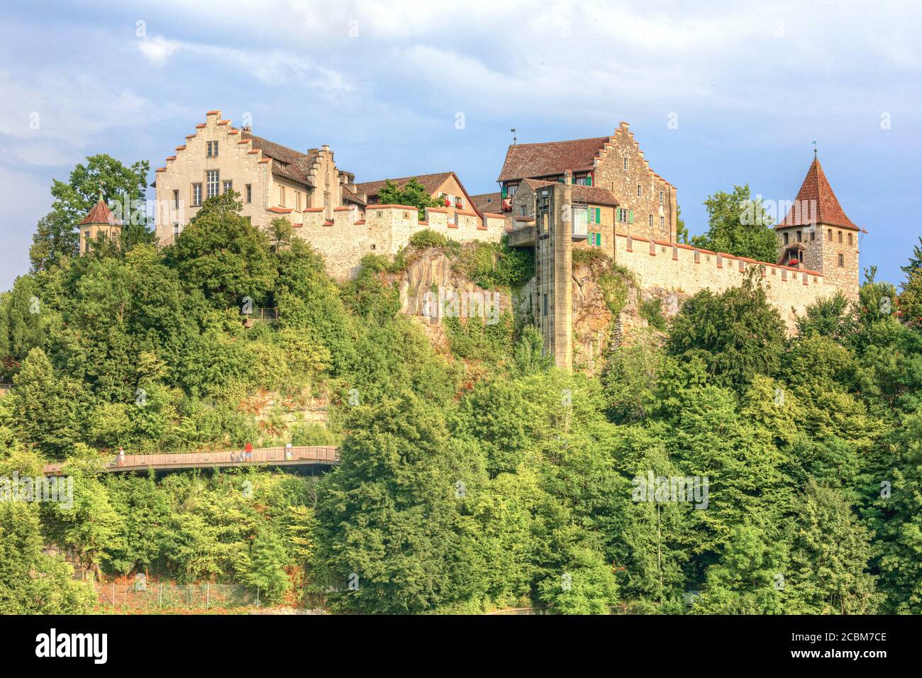 Rheinfall, Neuhausen am Rheinfall, Schaffhausen, Schweiz, Europa Stockfoto