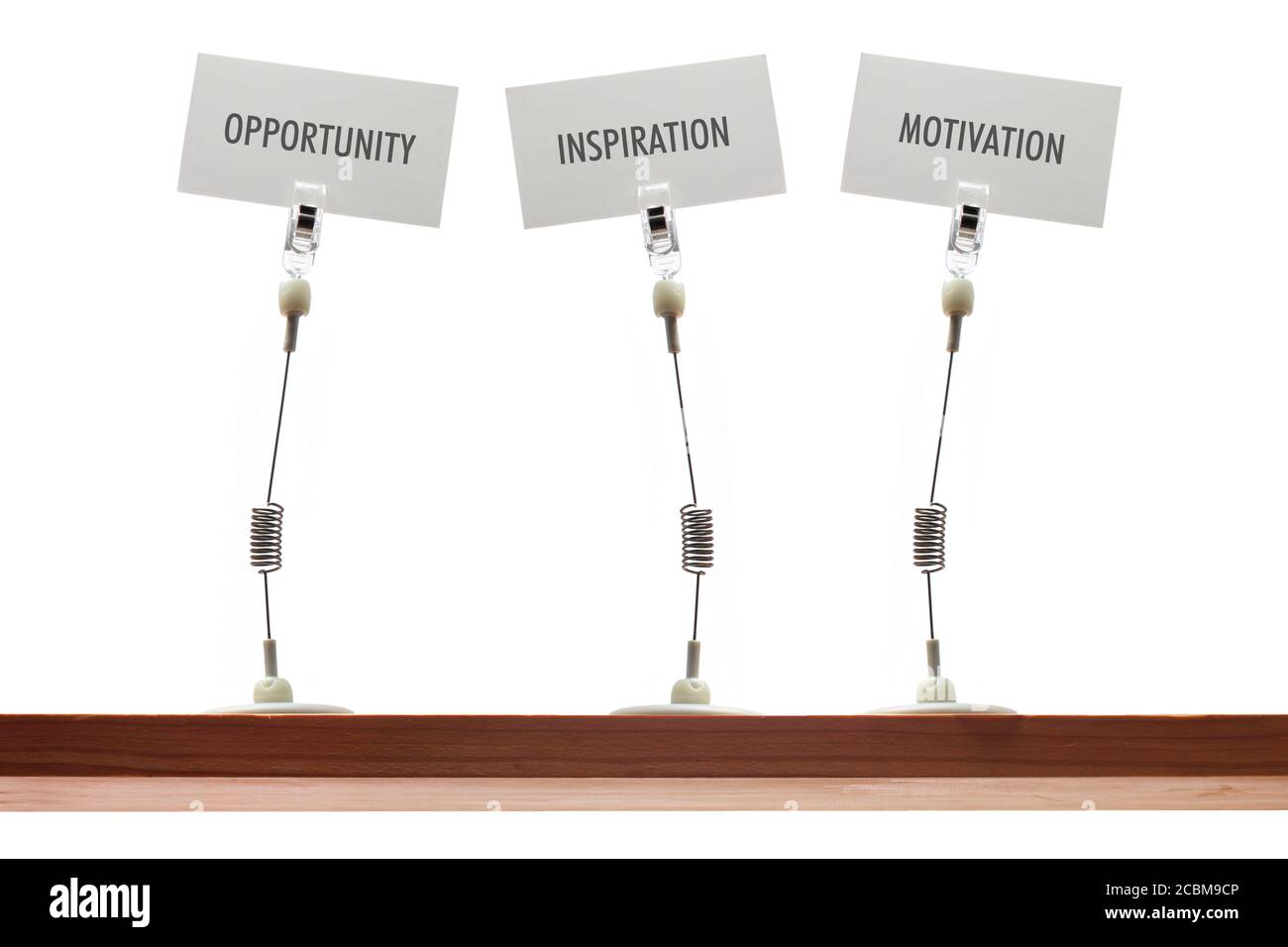 Karteninhaber im Regal Stockfoto