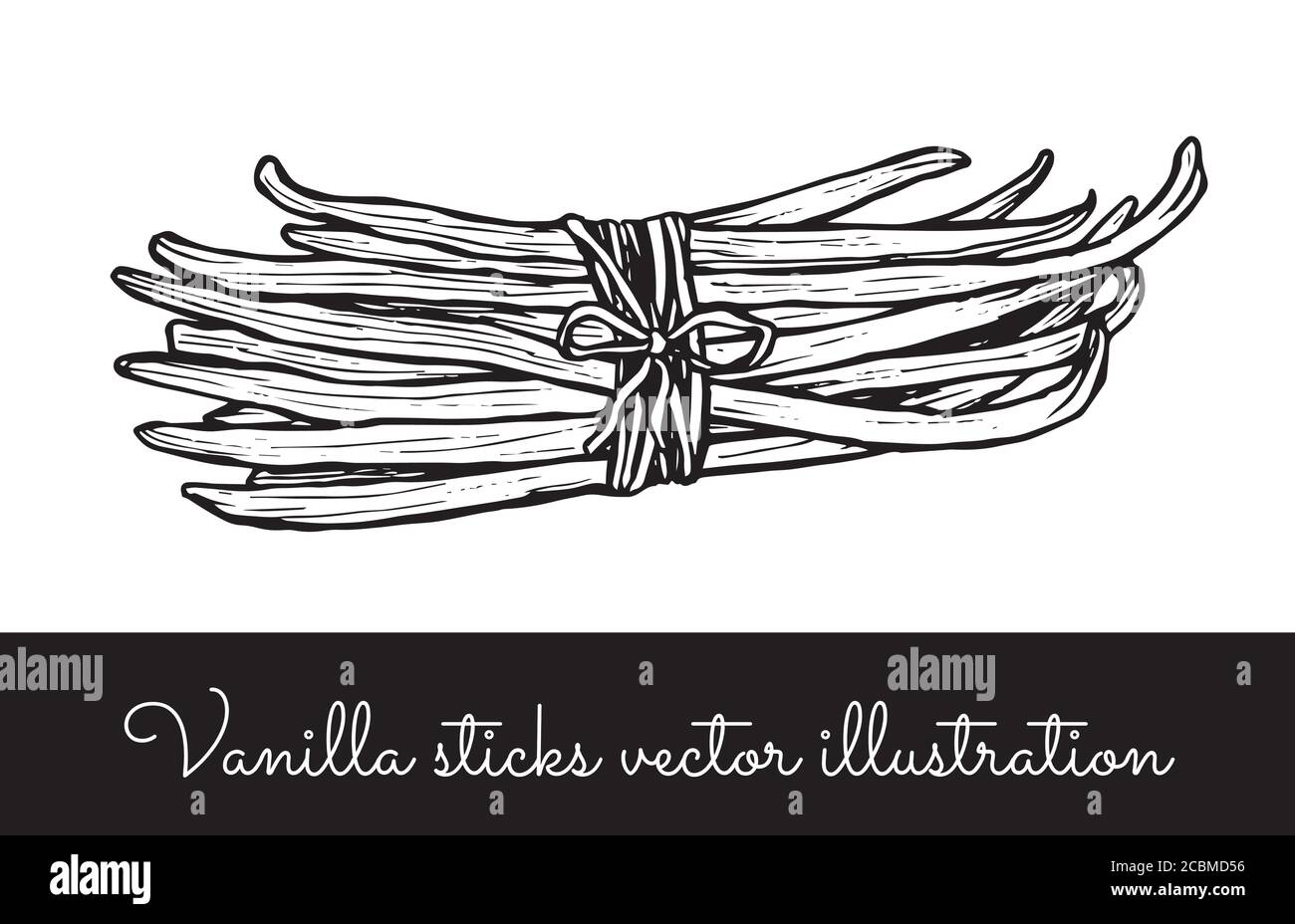 Vintage Vanille Blume und Vanille Sticks Bunches Kollektion Stock Vektor