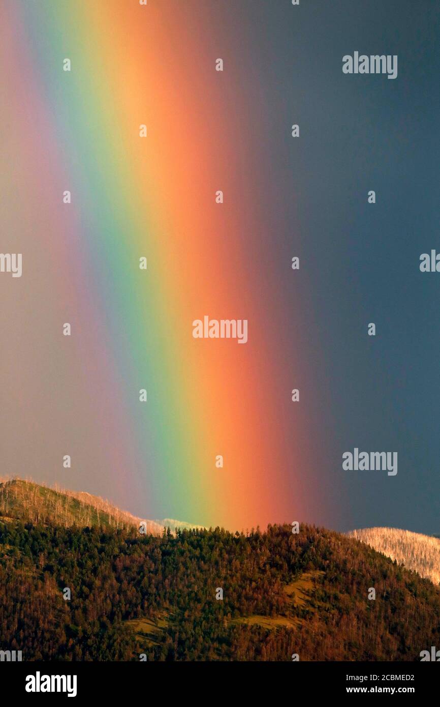 Ein Sommerregenbogen erhebt sich über dem Paradise Valley in Emigrant, Montana. Stockfoto
