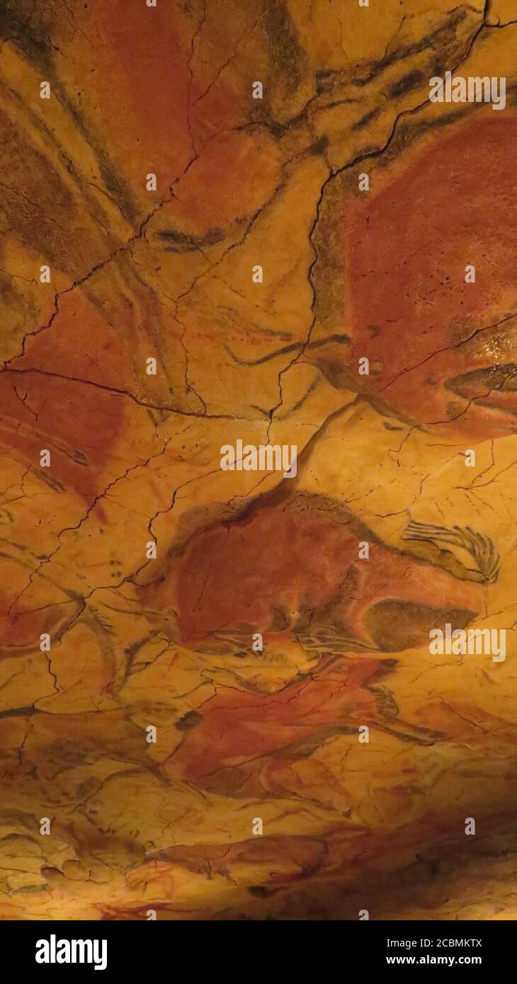 Cueva de Altamira Stockfoto