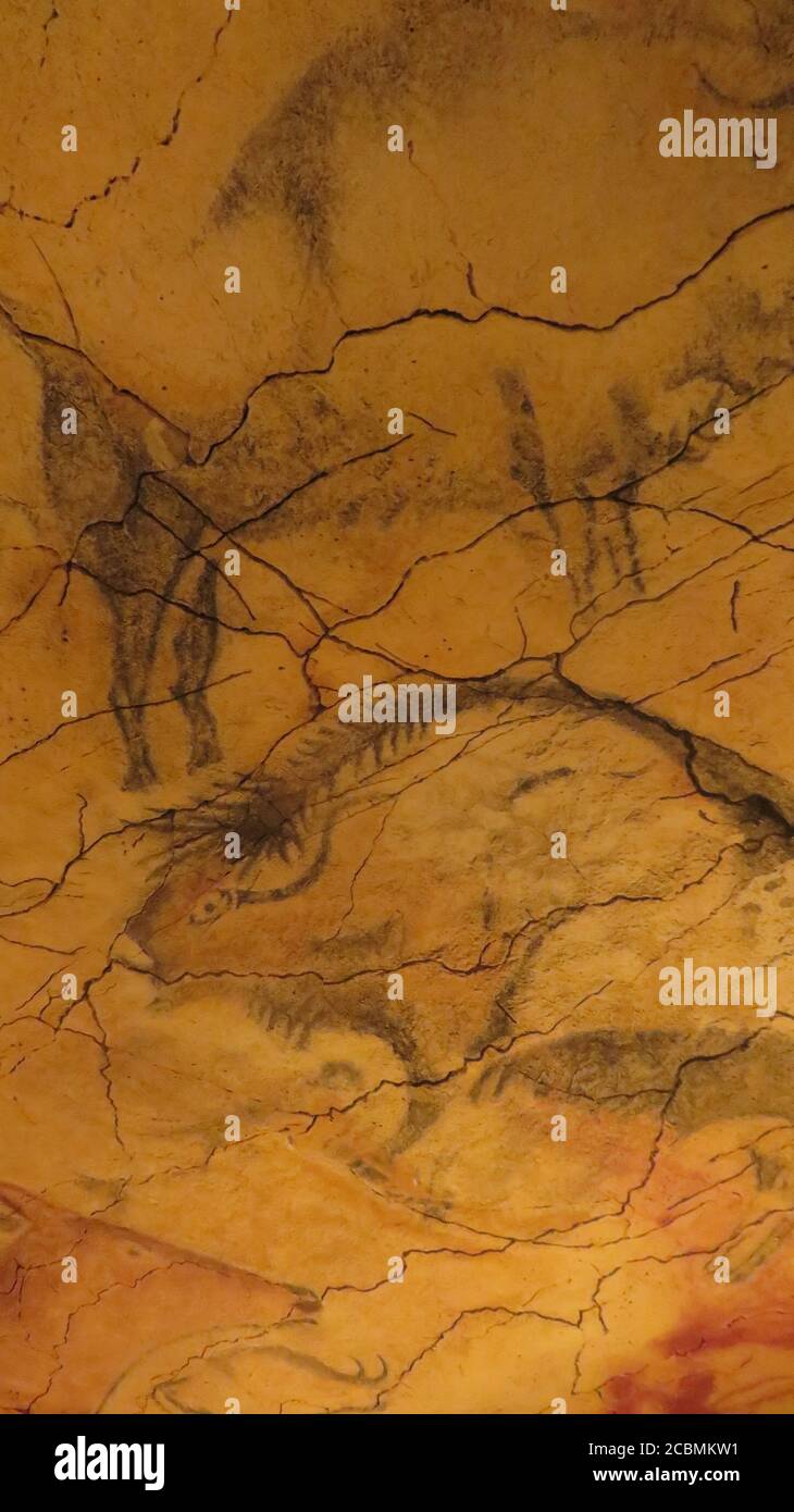 Cueva de Altamira Stockfoto