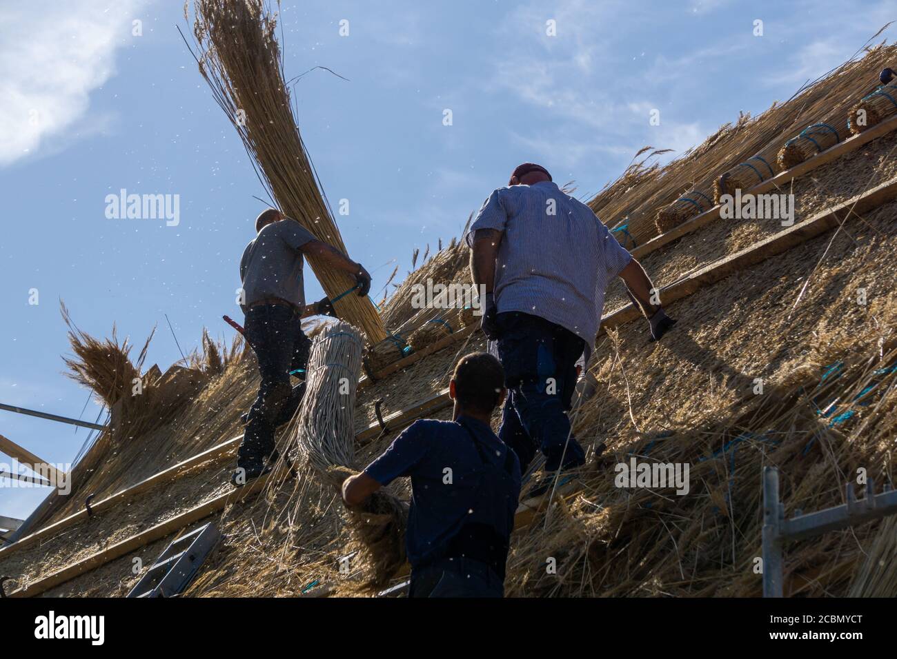 Handwerker bedeckt neues Dach mit Schilf Stockfoto