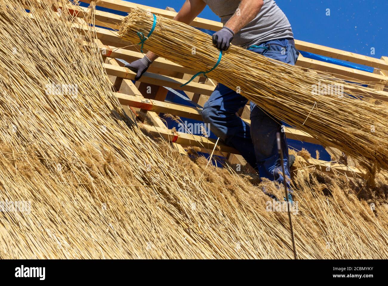 Handwerker bedeckt neues Dach mit Schilf Stockfoto