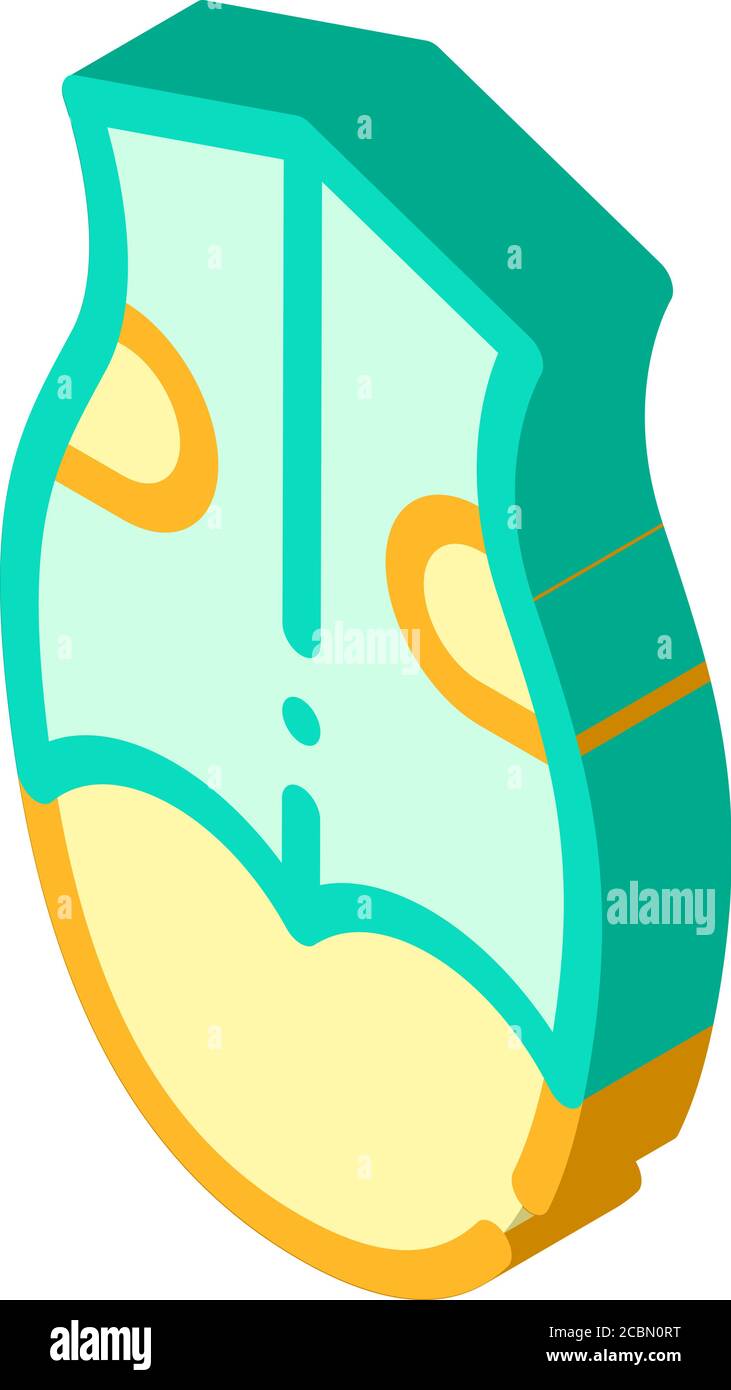 Kleidung für Hund isometrische Symbol Vektor Illustration Stock Vektor