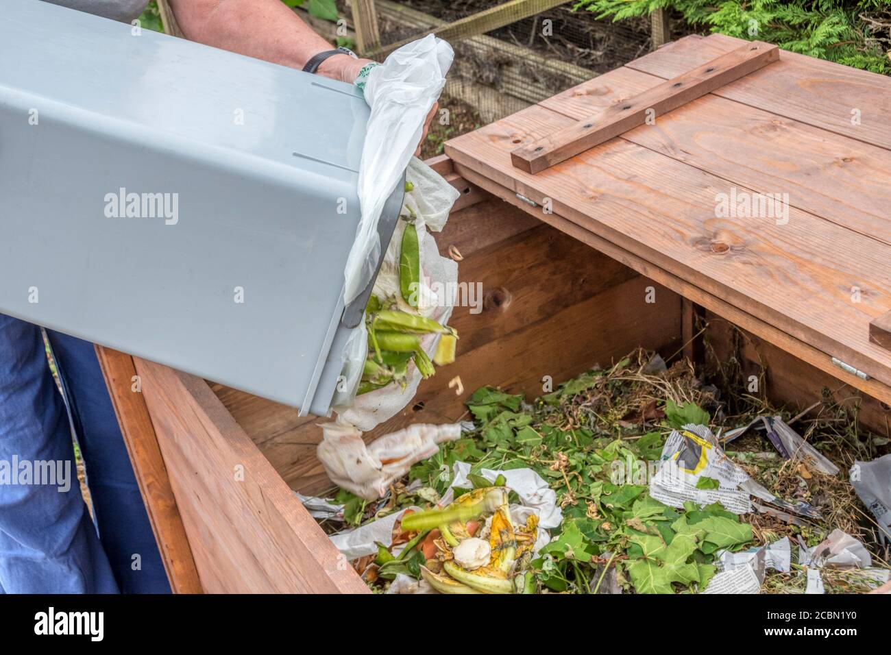 Frau kippt grünen organischen Hausmüll auf einen Komposthaufen. Stockfoto