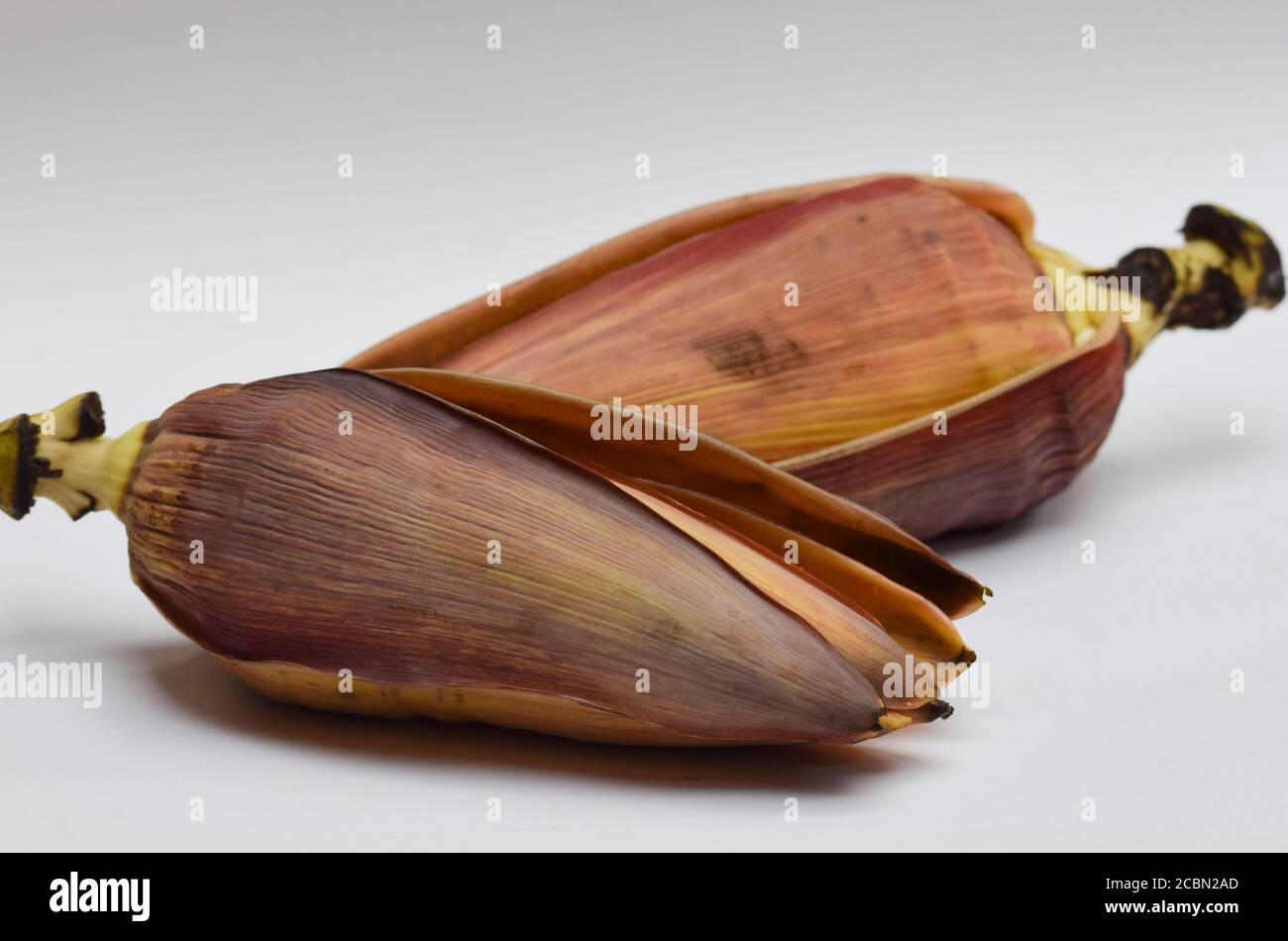 Exotisches Gemüse essbare Bananenblüte oder Bananenblüte. Weit verbreitet in verschiedenen Rezepten in Asien, indischen Subkontinent verwendet Stockfoto