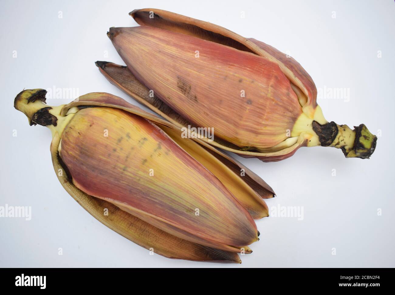 Exotisches Gemüse essbare Bananenblüte oder Bananenblüte. Weit verbreitet in verschiedenen Rezepten in Asien, indischen Subkontinent verwendet Stockfoto