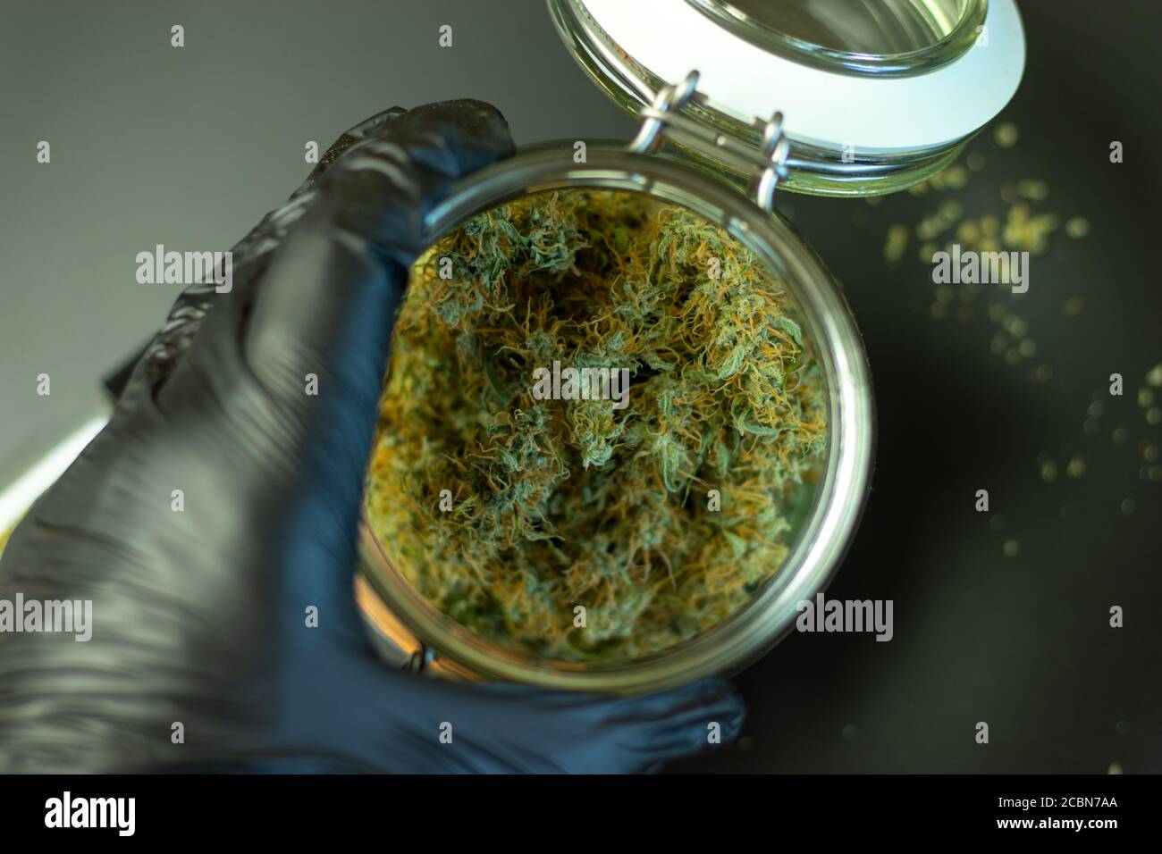 Großer Behälter von Cannabis Glas Draufsicht. Mann berührt Unkrautknospen. Marihuana-Branche Stockfoto