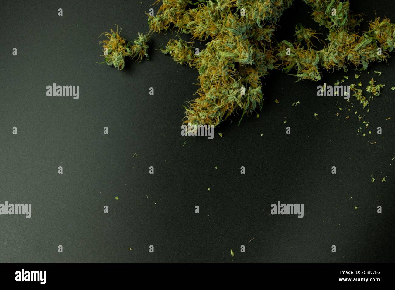 Cannabis Knospen auf schwarzem Hintergrund mit Kopierraum Stockfoto