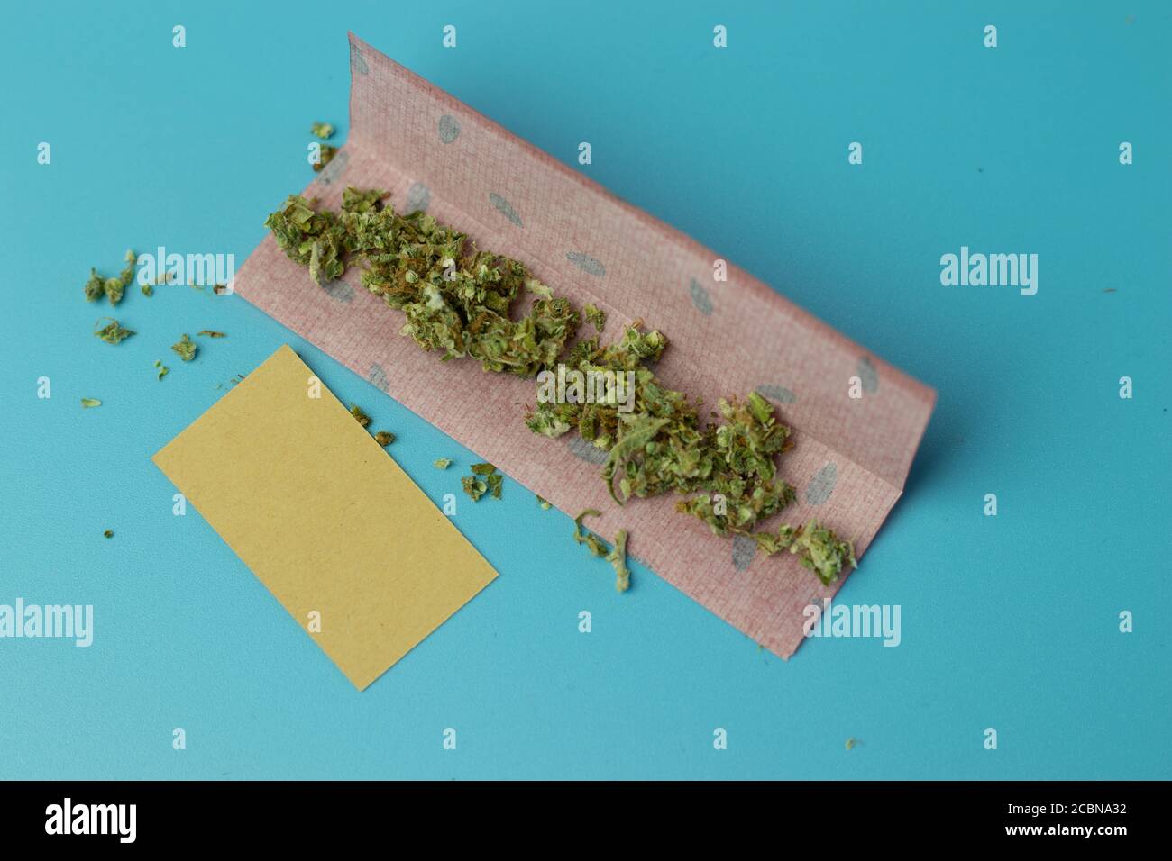 Gemeinsames Papier für Cannabis Rolle auf blauem Hintergrund Draufsicht, Marihuana Raucher Zubehör Stockfoto