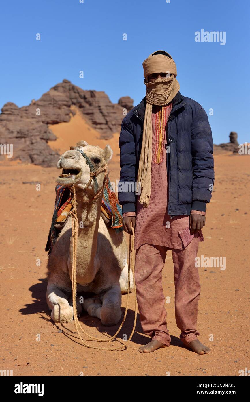 LEBEN IN DER WÜSTE IN ALGERIEN. NOMADEN MIT KAMELEN IN DER SAHARA. Stockfoto