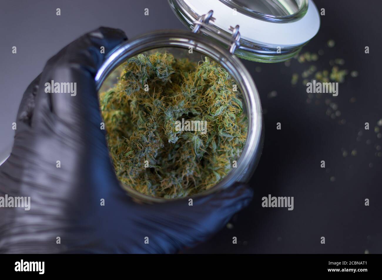 Mann, der ein großes Glas Cannabis-THC-Knospen hält. Draufsicht auf medizinisches Marihuana Stockfoto