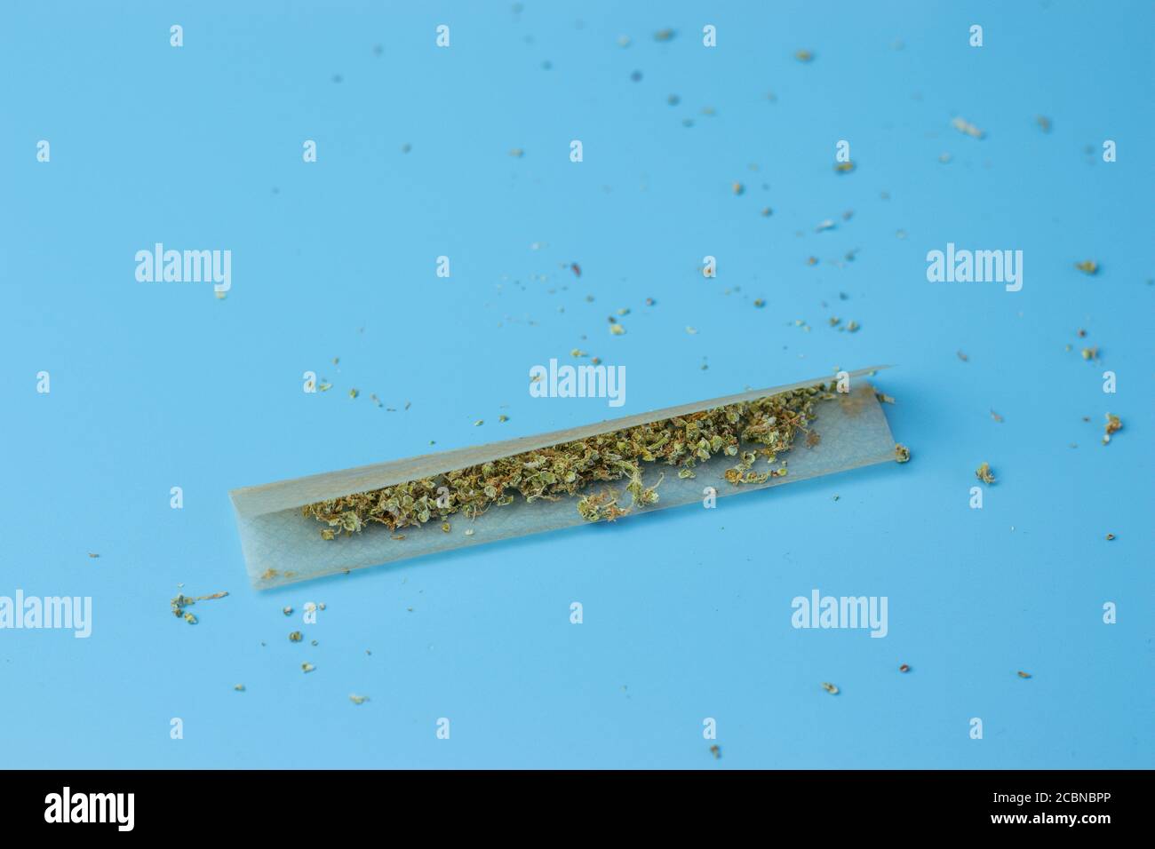 Unkraut in Papier für Gelenk auf blauem Hintergrund. Cannabisrauchen, Marihuana-Shop, Kopierraum Stockfoto