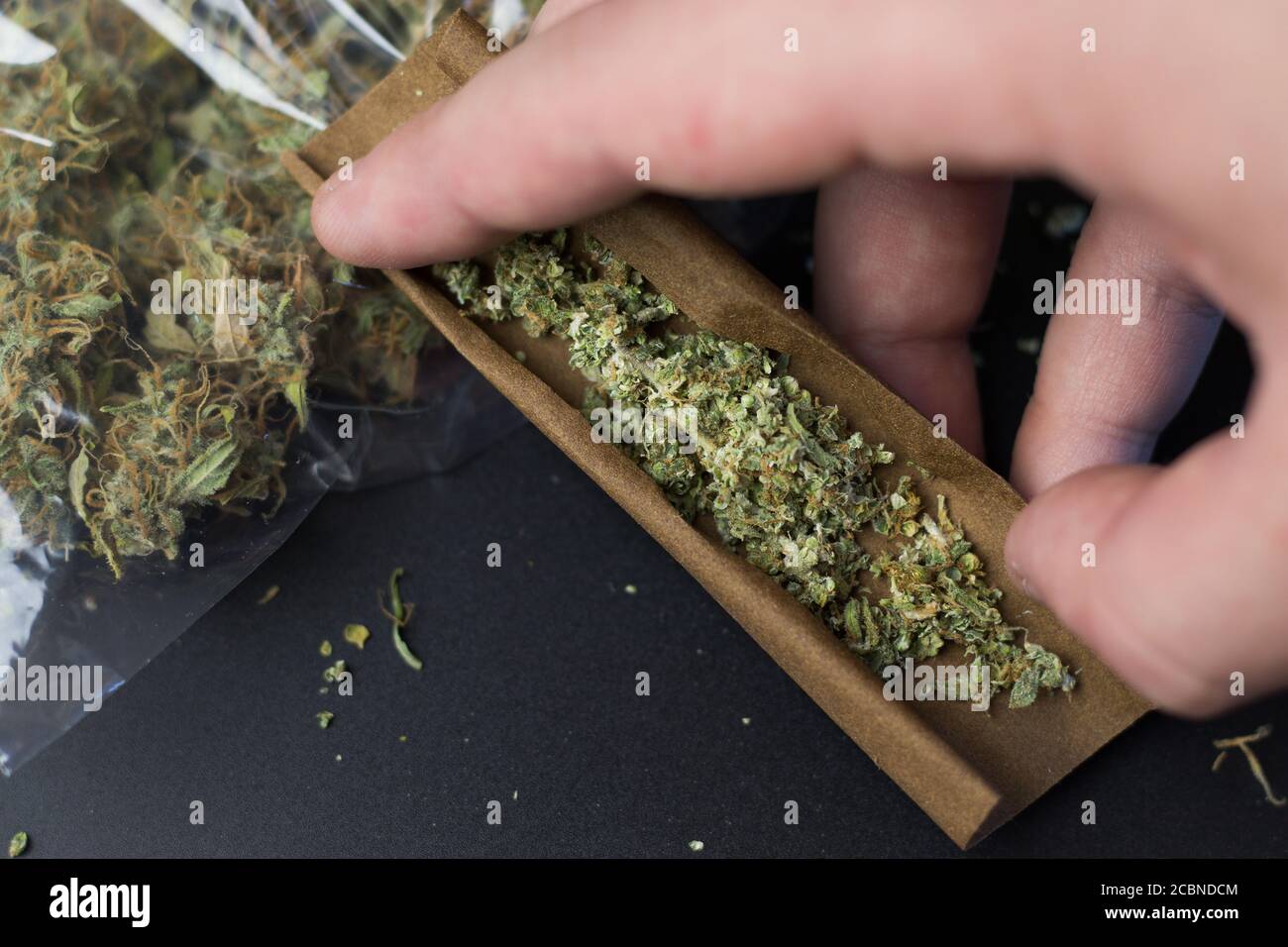 Draufsicht auf stumpfem Papier mit zerbröckelten Cannabisknospen. Marihuana auf dem Hintergrund. Unkrautgeschäft Stockfoto