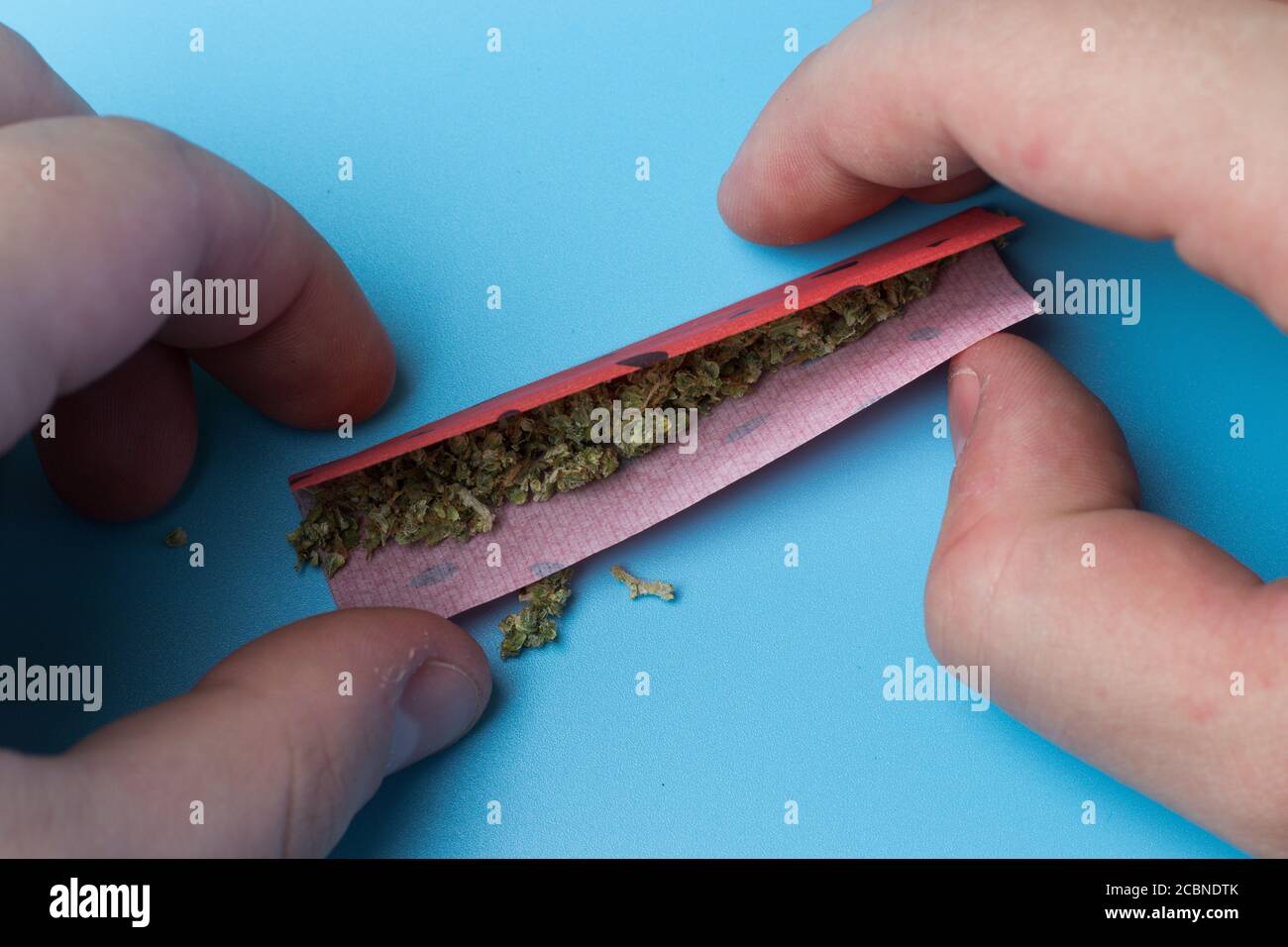 Rollende Marihuana-Gelenk Nahaufnahme. Verwendung von legalem Cannabis. Unkraut Konzept Design-Vorlage für Web Stockfoto