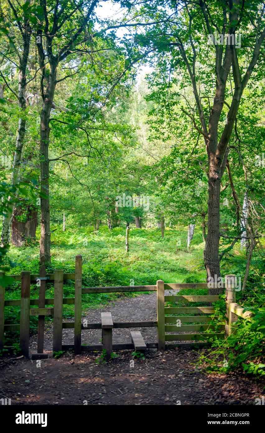 Holzstile und Pfad Stockfoto