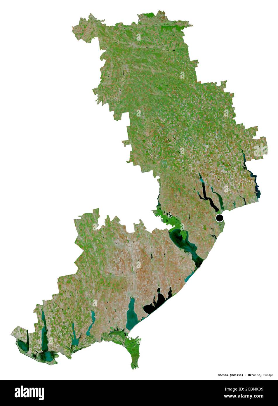 Form von Odessa, Region der Ukraine, mit seiner Hauptstadt isoliert auf weißem Hintergrund. Satellitenbilder. 3D-Rendering Stockfoto