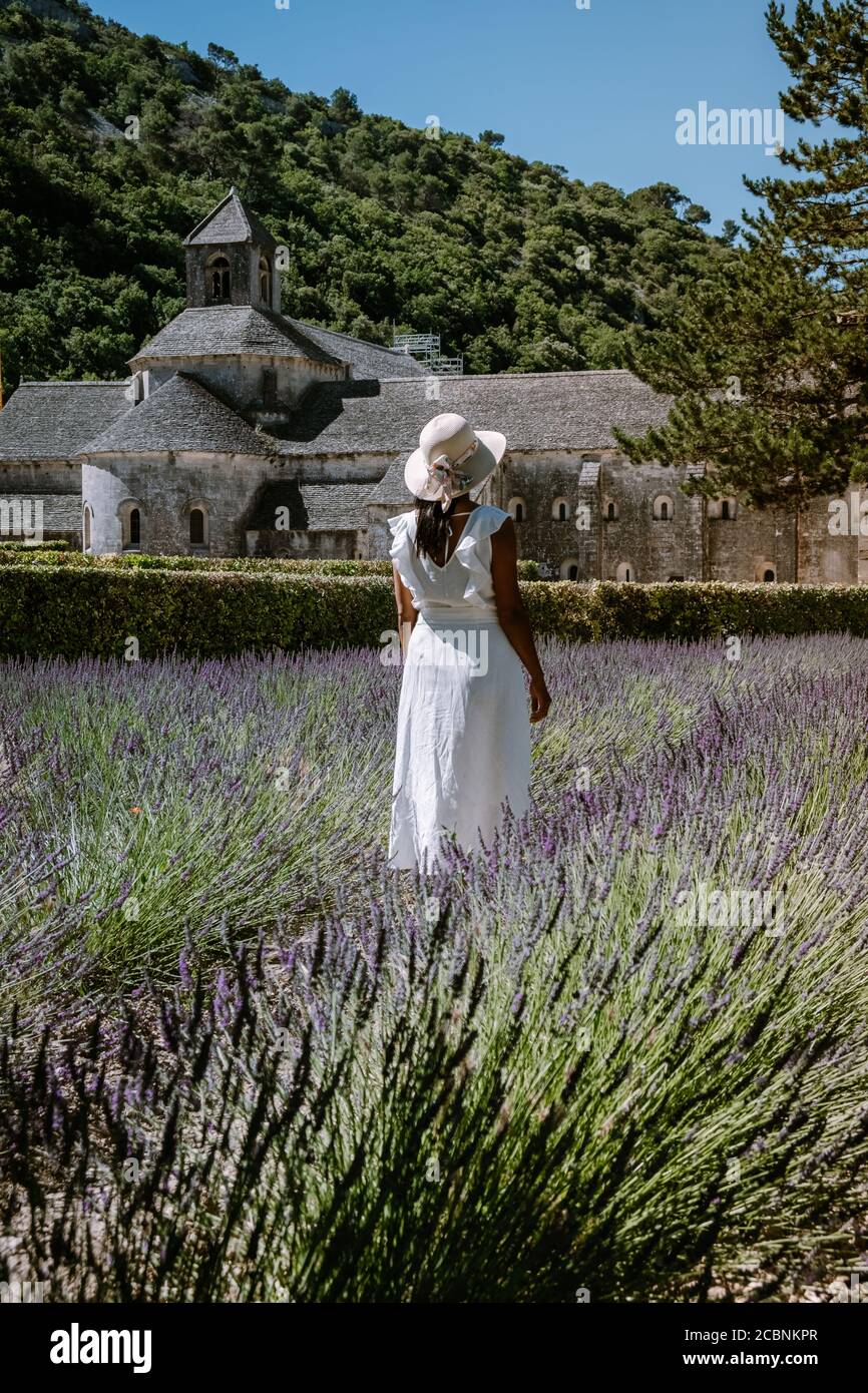 Lila blühenden Lavendelfelder im Kloster Senanque, Provence, Südfrankreich Stockfoto