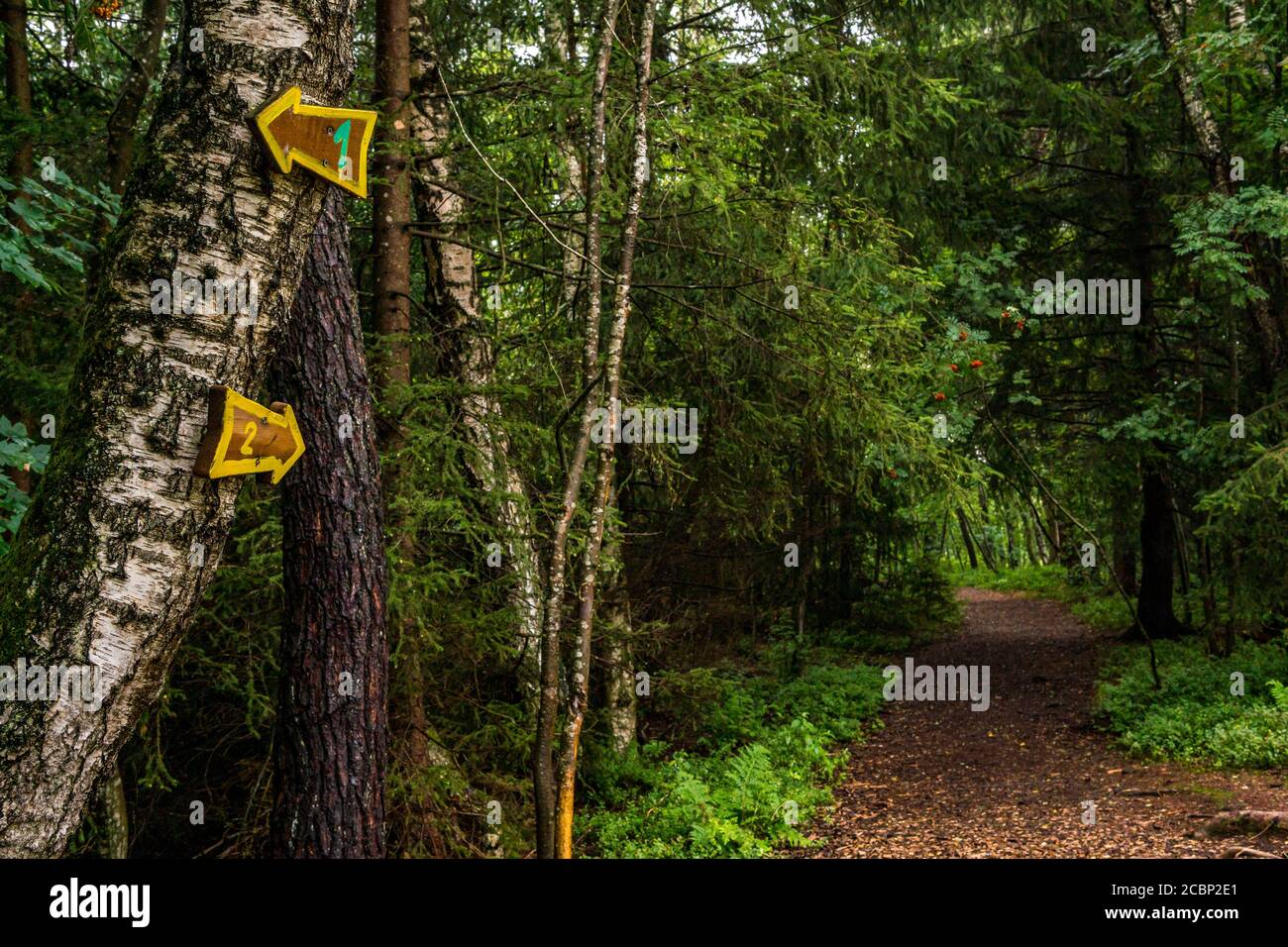 Das schöne Naturschutzgebiet Wilhelmsdorf Pfrunger Ried in Oberschwaben