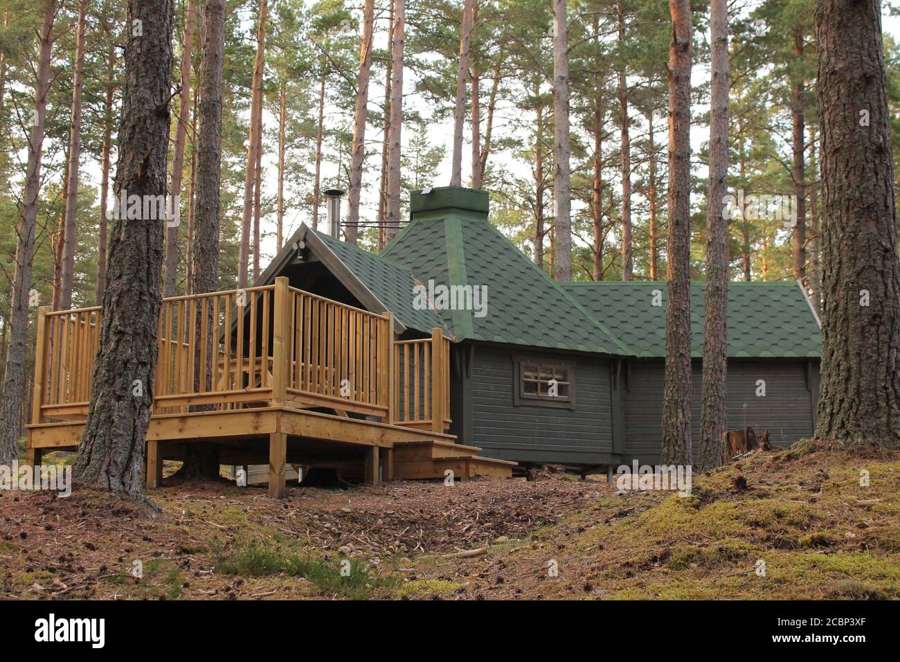 Abgelegenes Ferienhaus im Wald Stockfoto
