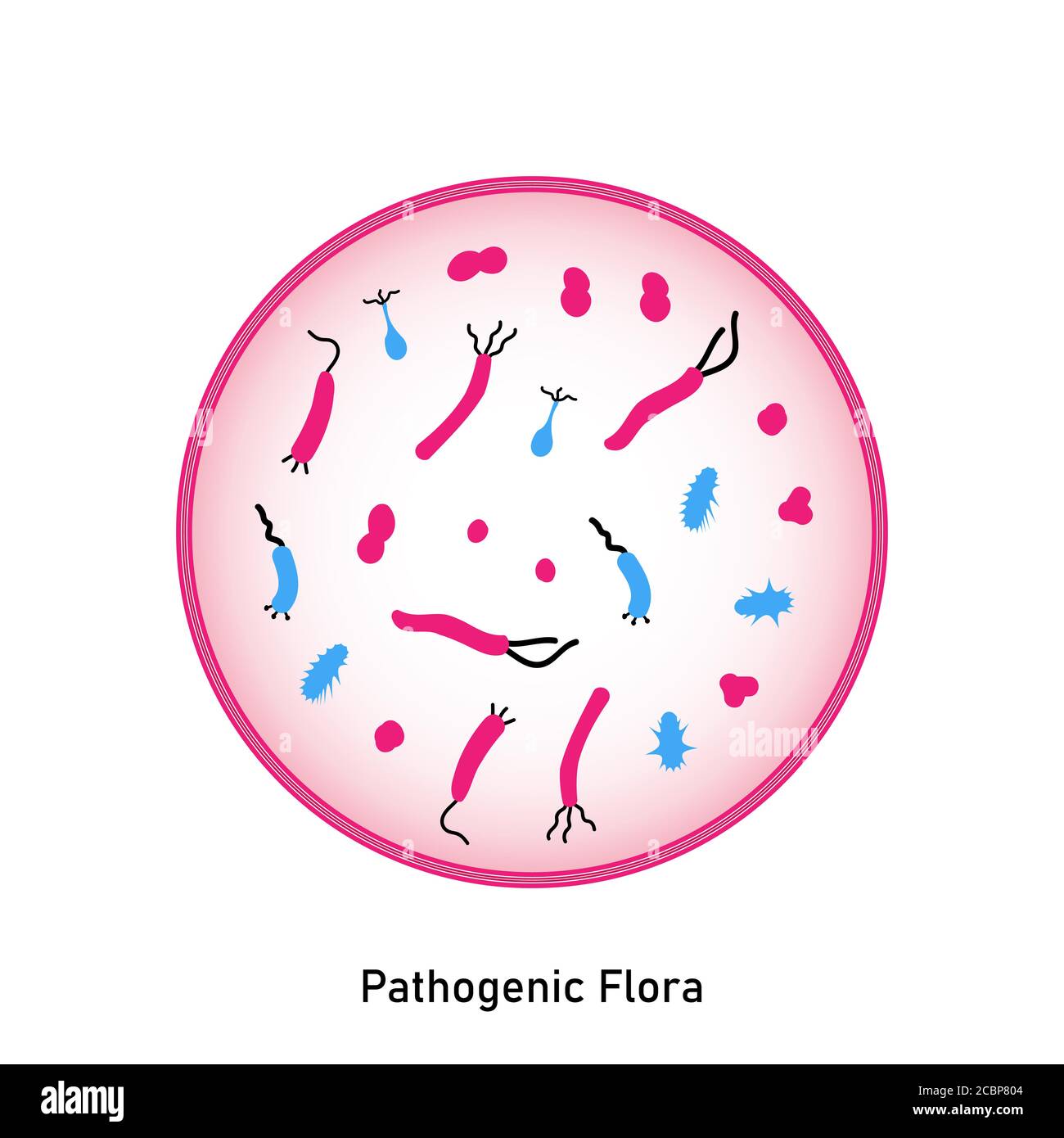 Bakterieller Mikroorganismus im Kreis. Pathogene Flora der Haut und Schleimhäute. Flacher Style. Keime, primitive Organismen. Störung des normalen f Stock Vektor