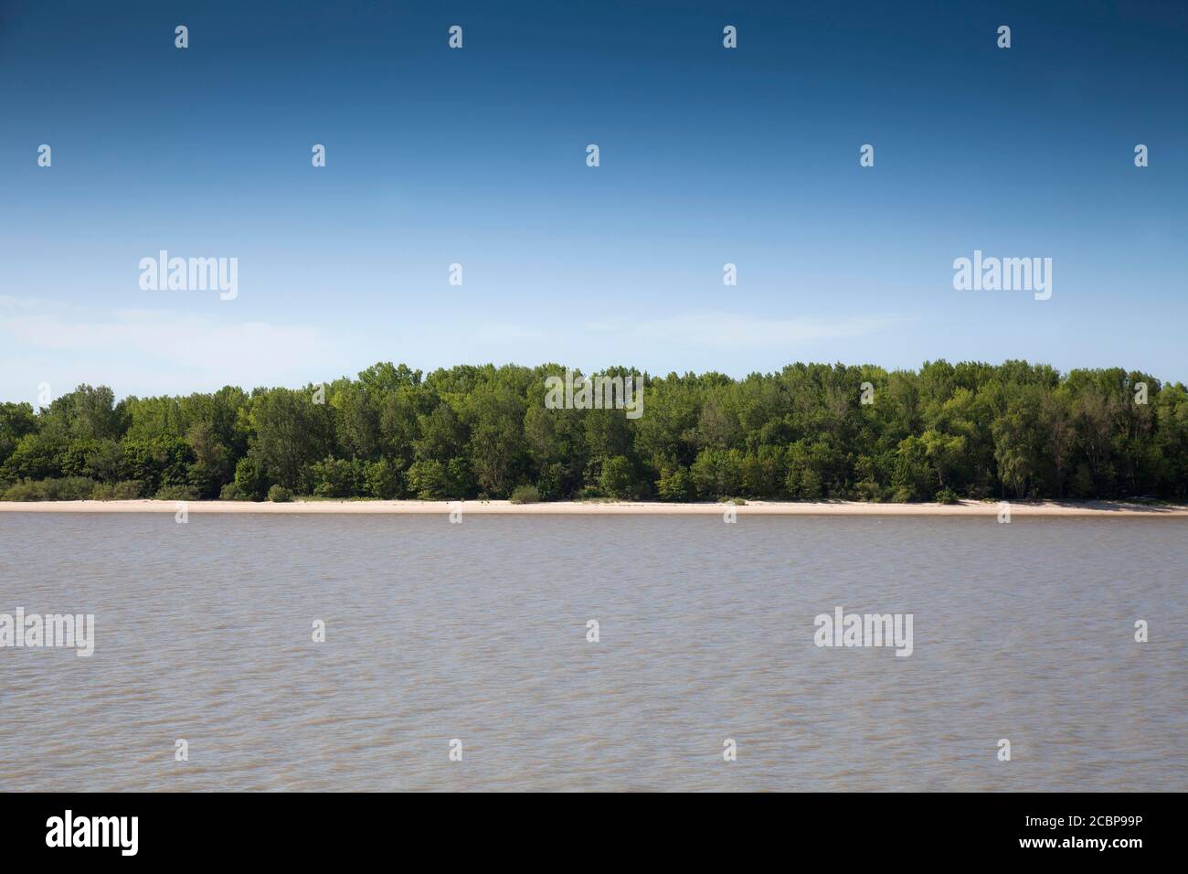 Strand an der Elbe, Insel Lühesand, Hamburg, Deutschland Stockfoto