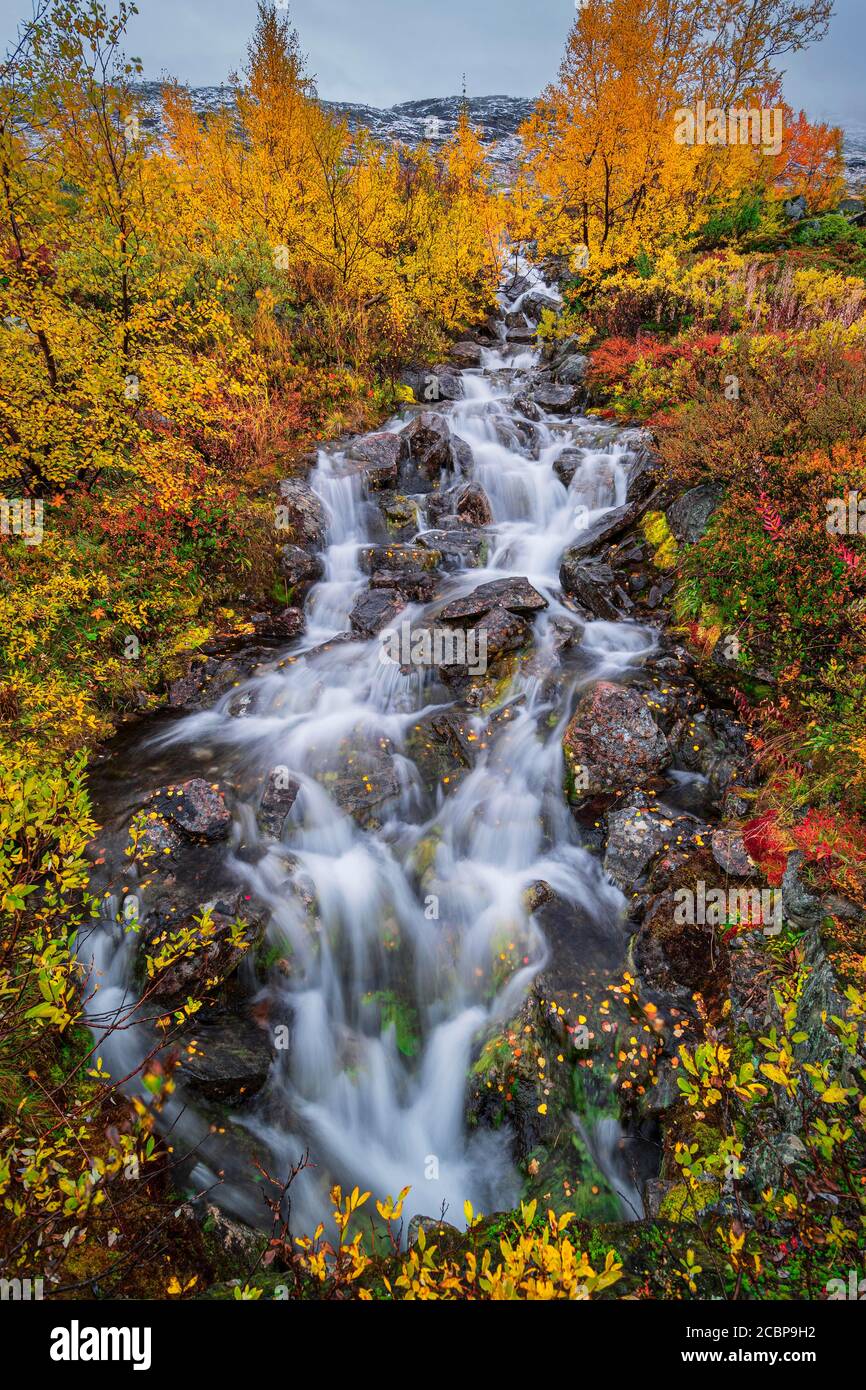 Kleiner Gebirgsbach mit farbenfroher Vegetation im Herbst, Ruska Aika, Indian Summer, Indian Summer, Indian Summer, Tessand, Innlandet, Norwegen Stockfoto