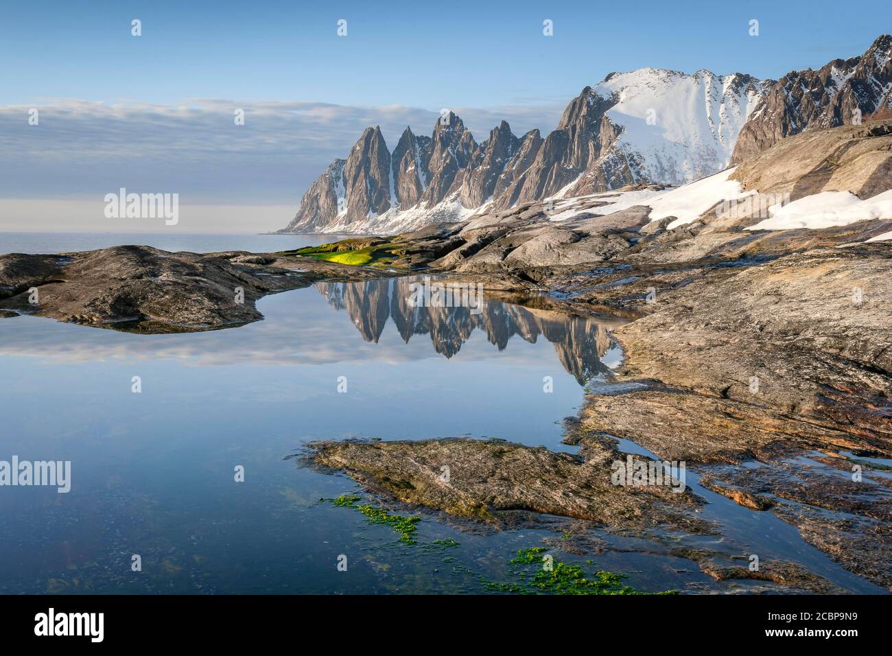 Grüner Seetang und felsiger Strand von Tungeneset, hinter schneebedeckten felsigen Gipfeln Devils Teeth, Devil's Teeth, Okshornan, steinerne Fjorde, Senja Island Stockfoto