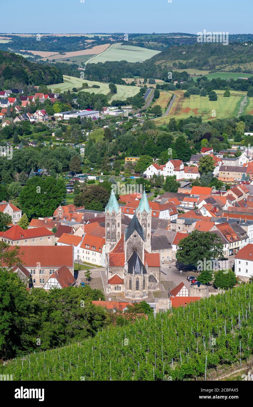 Blick vom Schloss Neuchatel auf die Weinberge und die Stadtkirche St. Marien, Freyburg (Unstrut), Burgenland, Sachsen-Anhalt, Deutschland Stockfoto