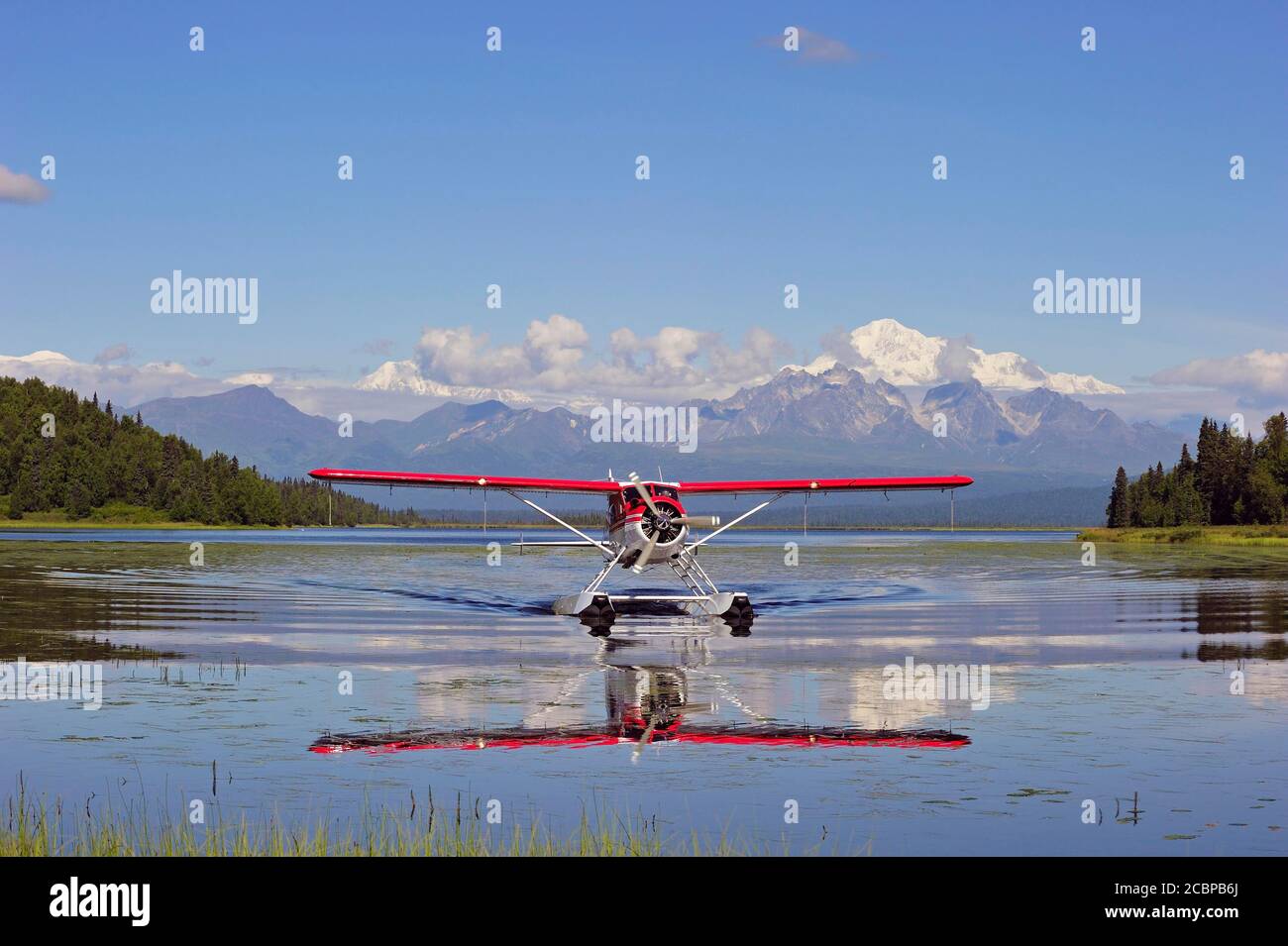 Wasserflugzeug Beaver de Havilland landet auf einem See vor dem schneebedeckten Berg Denali, Alaska, USA Stockfoto