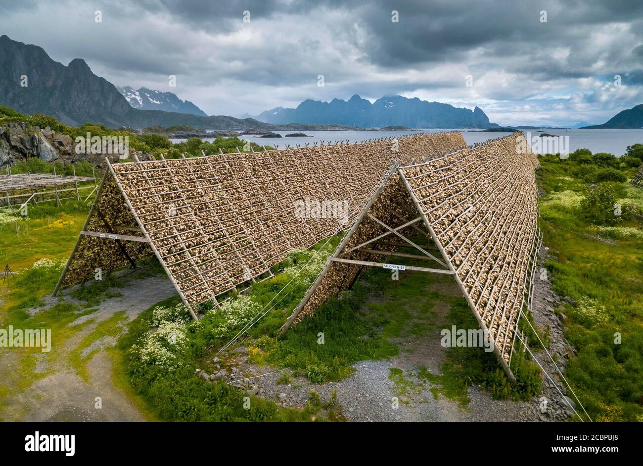 Tausende und Tausende Stockfisch Fischköpfe auf hölzernen Trockenracks, in der hinteren Fischerei Industrie, Meer und Berge, Kabeljau, Kabeljau, skrei Stockfoto