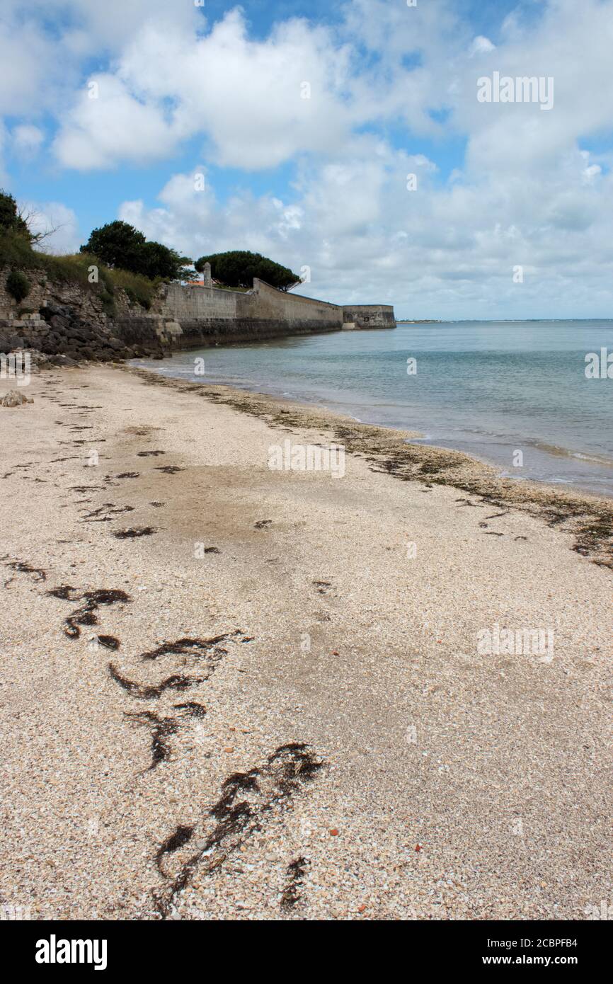 Château d'Oléron, Charente-Maritime, Frankreich Stockfoto