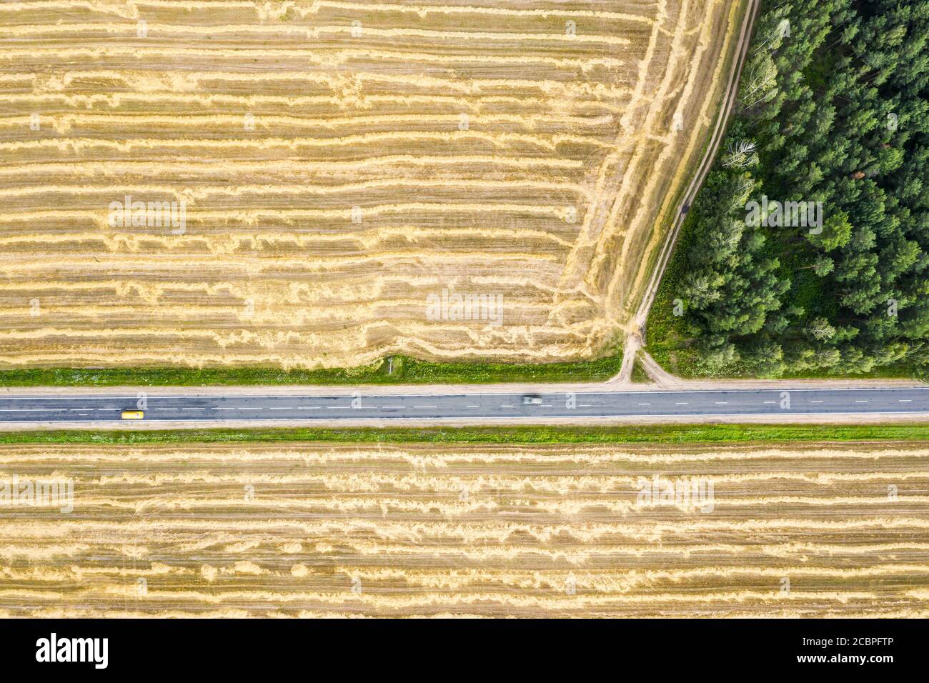 Gelbes Weizenfeld mit Reihen von gemähtem Heu und Landstraße mit grünem Wald. Luftaufnahme von oben Stockfoto