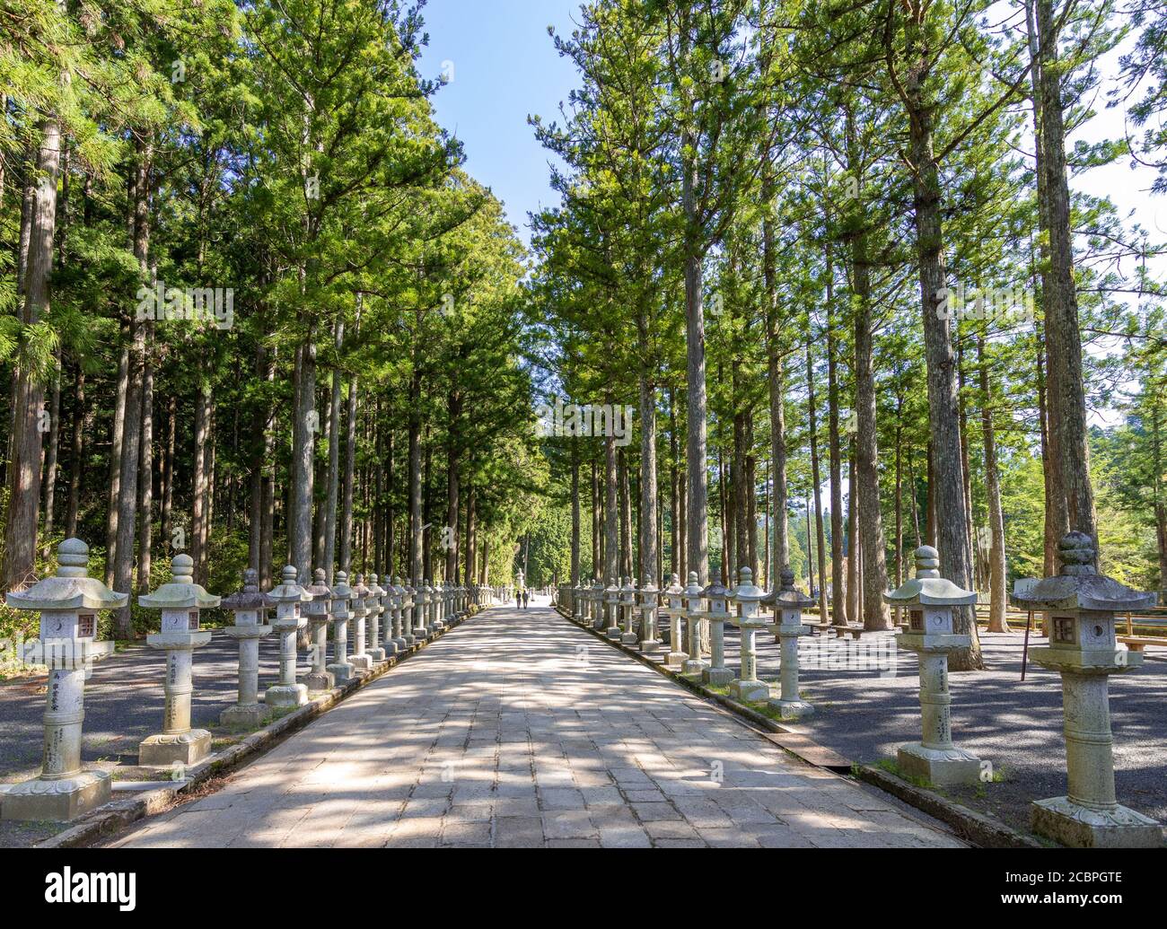 Okunoin Friedhof in Koyasan Mount Koya, UNESCO-Weltkulturerbe und ein 1200 Jahre altes Zentrum der japanischen Sekte des Shingon Buddhismus in Wakayama Jap Stockfoto