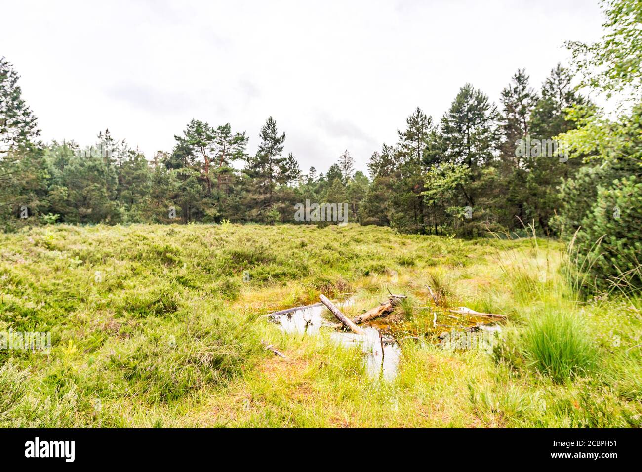 Das schöne Naturschutzgebiet Wilhelmsdorf Pfrunger Ried in Oberschwaben