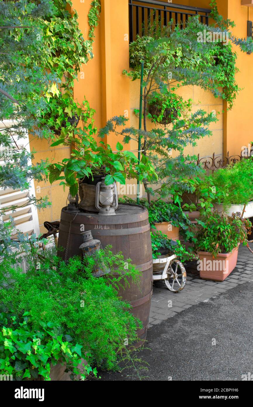 Neue grüne Laubpflanzen Reihen sich am Straßenrand von Eine Stadtlandschaft im südeuropäischen Stil Stockfoto