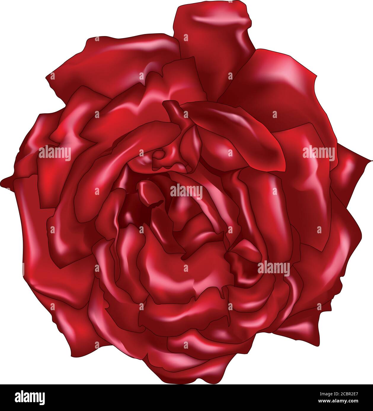 Ein roter Rosenvektor auf weißem Hintergrund Stock Vektor