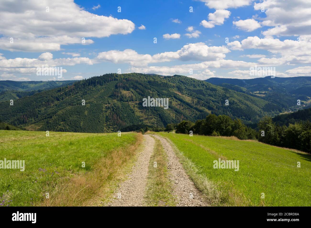 Blick von Kamity, Mährisch-Schlesische Beskiden (Beskiden), Westkarpaten, Tschechien - Wanderweg, Wiese mit grünem Gras und Stockfoto