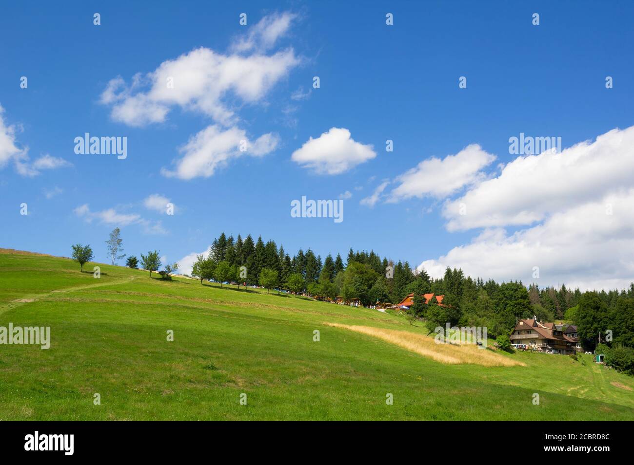 Kamity, Beskiden ( Beskiden, Beskiden ), Schlesien, Tschechien, Tschechien - schöne Natur und Landschaft - Hügel, Wiese mit Gras, Mohn Stockfoto